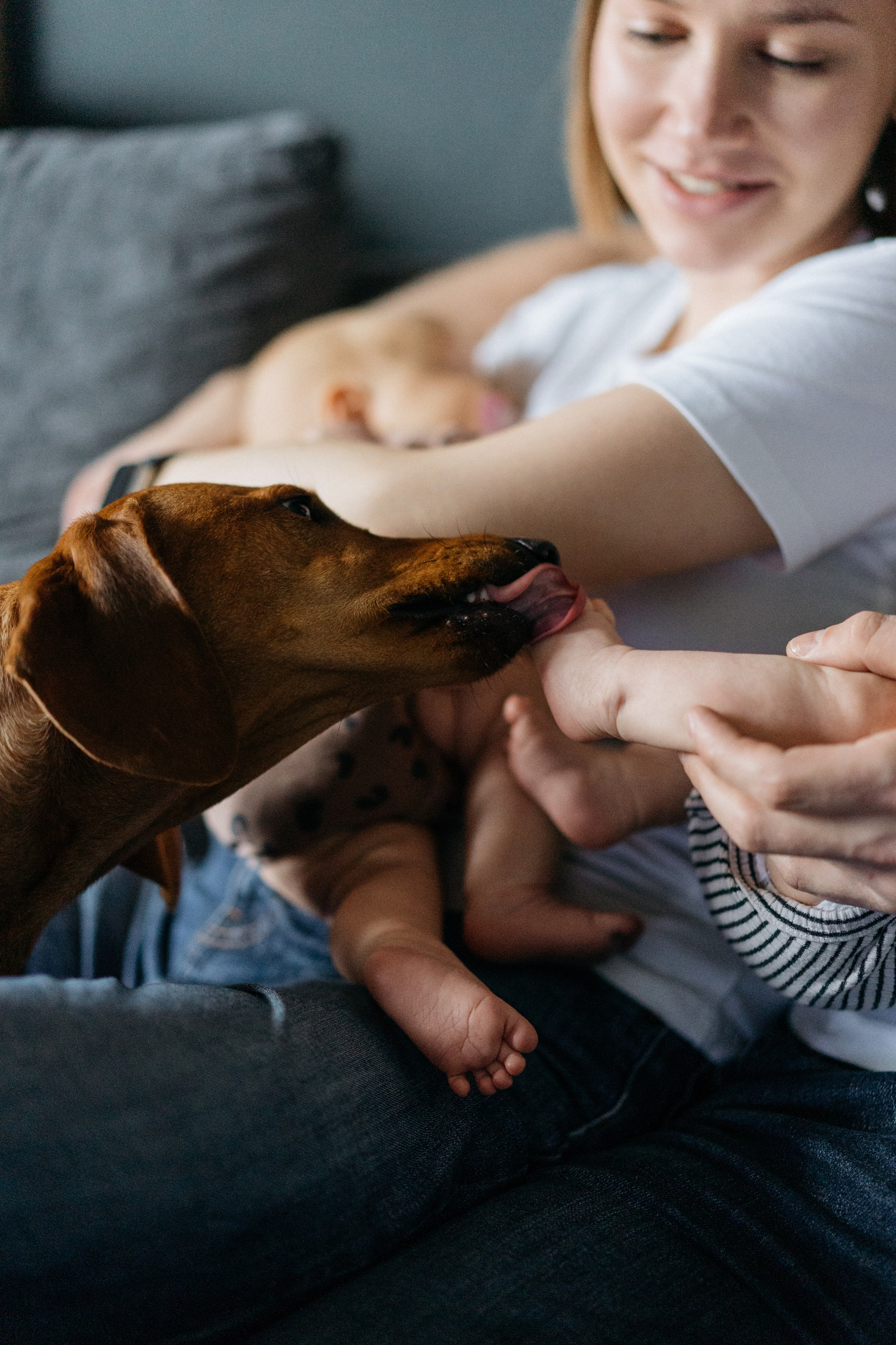 Двойняшки. Свадебный и семейный фотограф в Калининграде Анастасия Гриценко