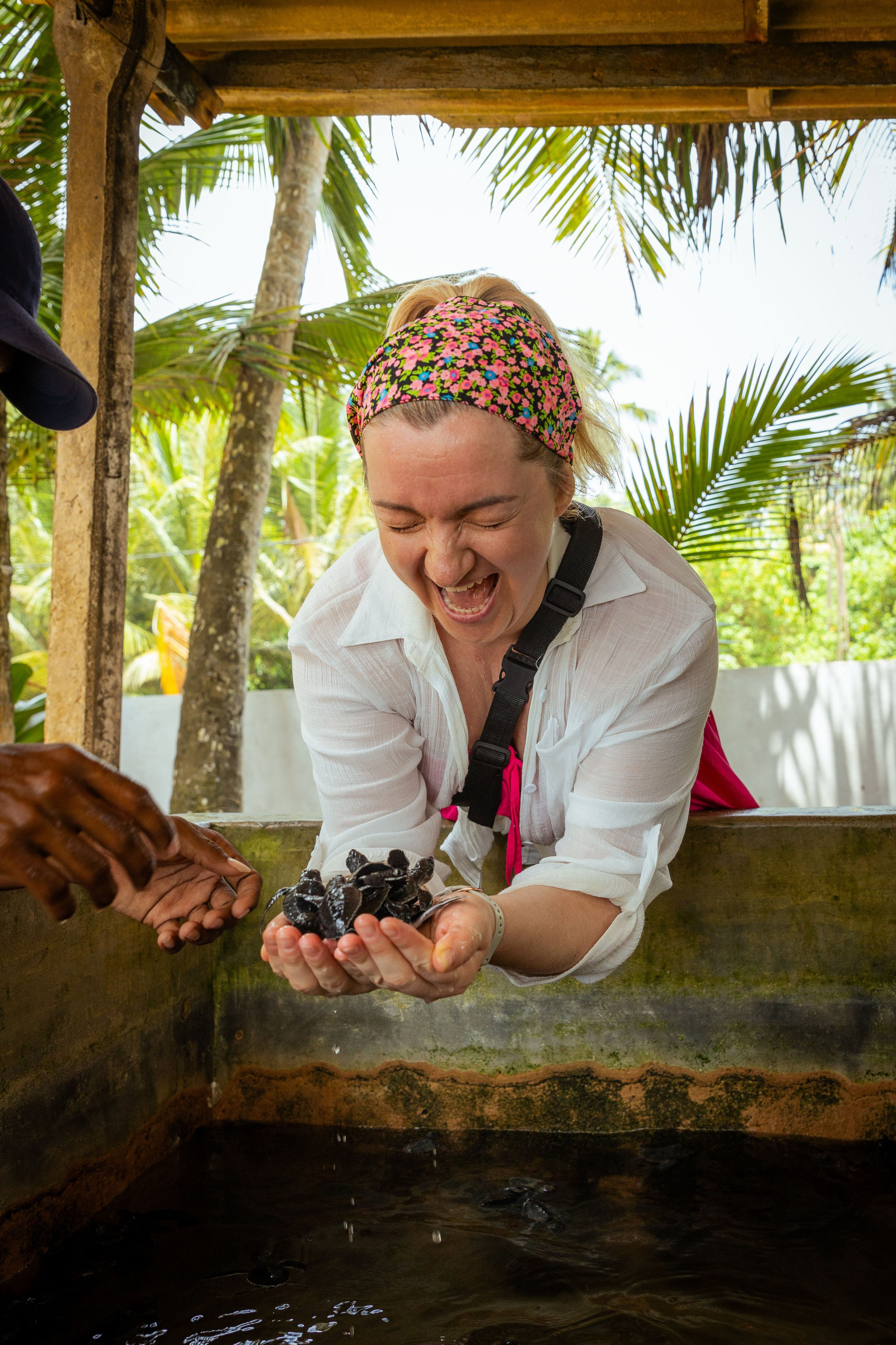 Шри-Ланка (весна 2024). Фотограф Виноградов Константин