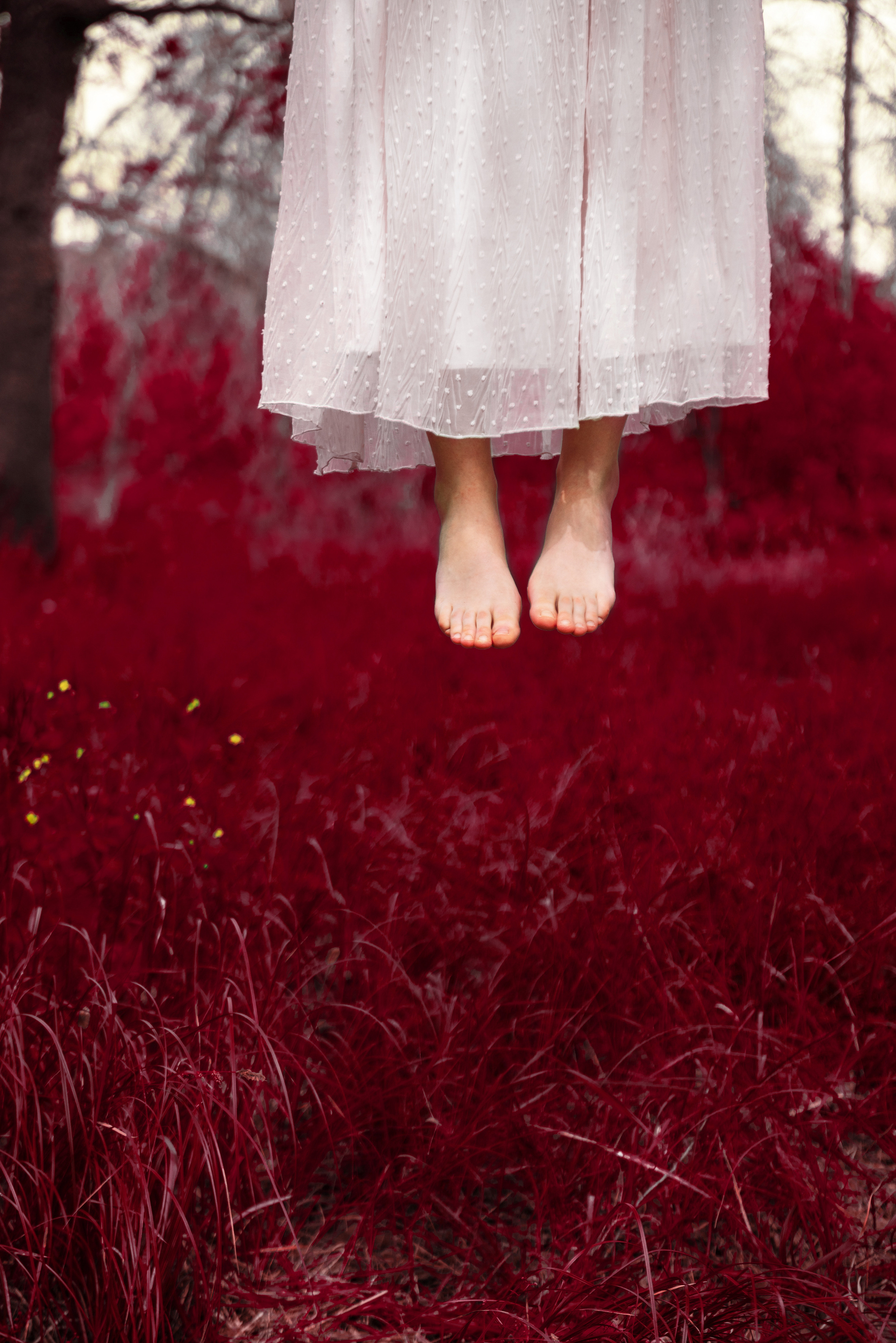 RED WOOD. SARKISOPH | Фотограф Волгоград