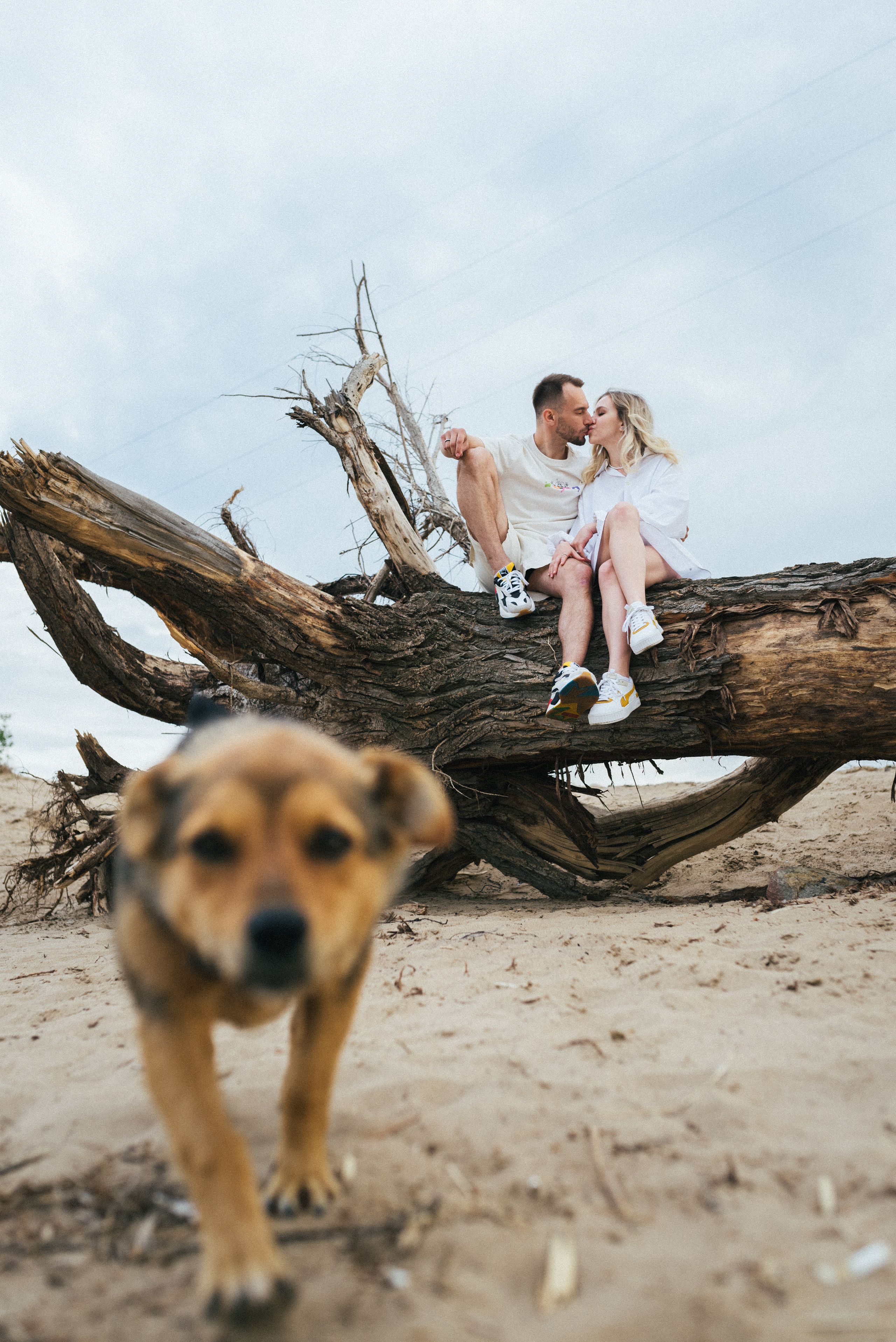 Злата и Кирилл. SARKISOPH | Фотограф Волгоград