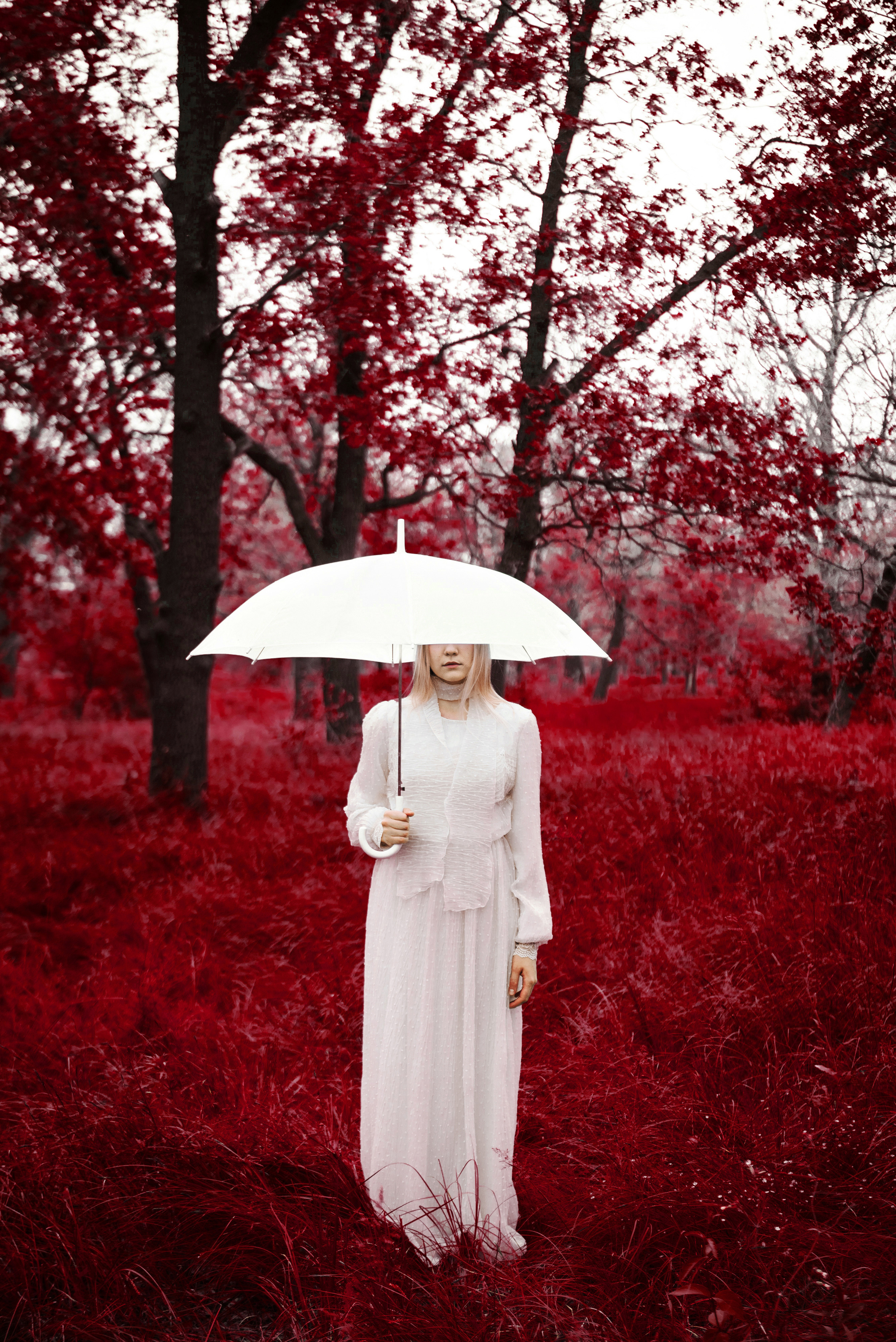 RED WOOD. SARKISOPH | Фотограф Волгоград