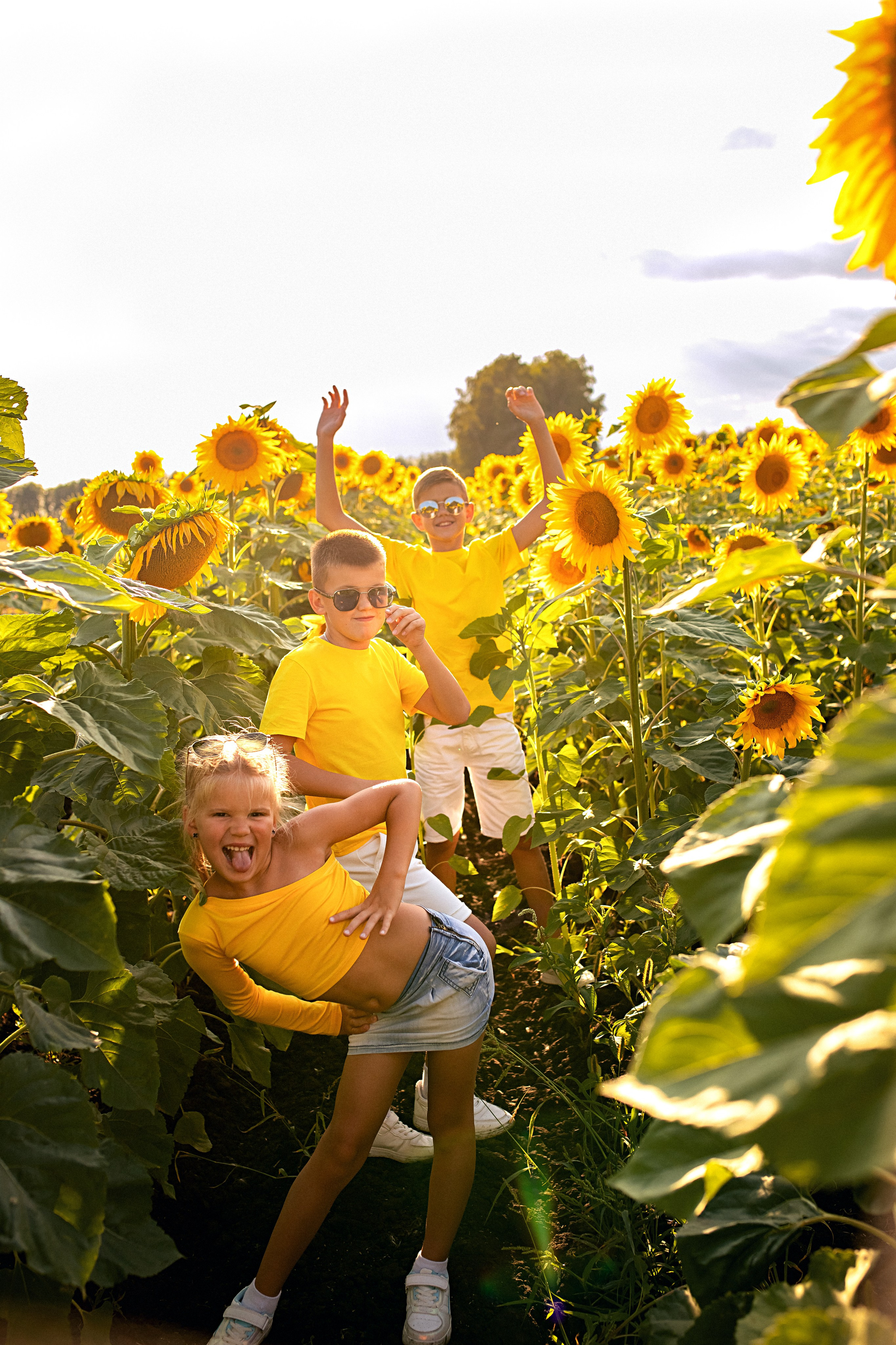 В подсолнухах однажды летом. Ольга Смирнова юрист, фотограф