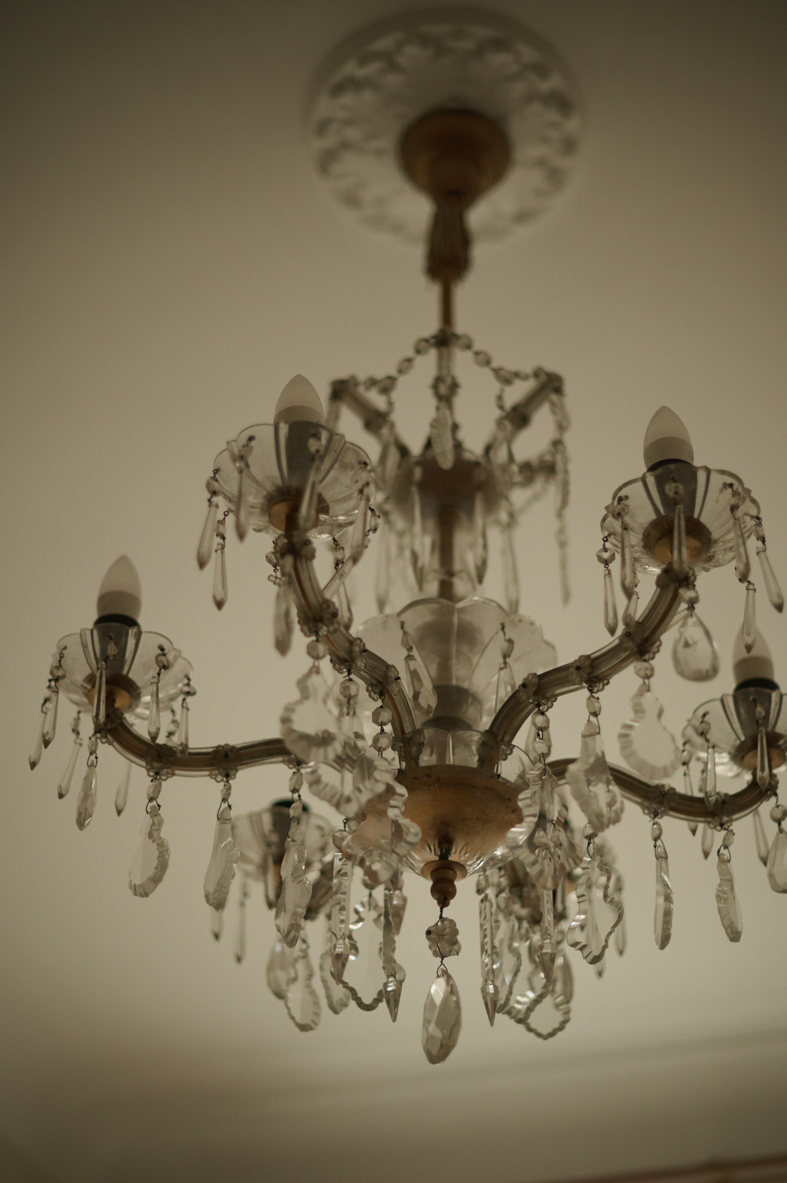 Я не мог оторвать глаз от тебя. Фотограф Евгения Пронькина