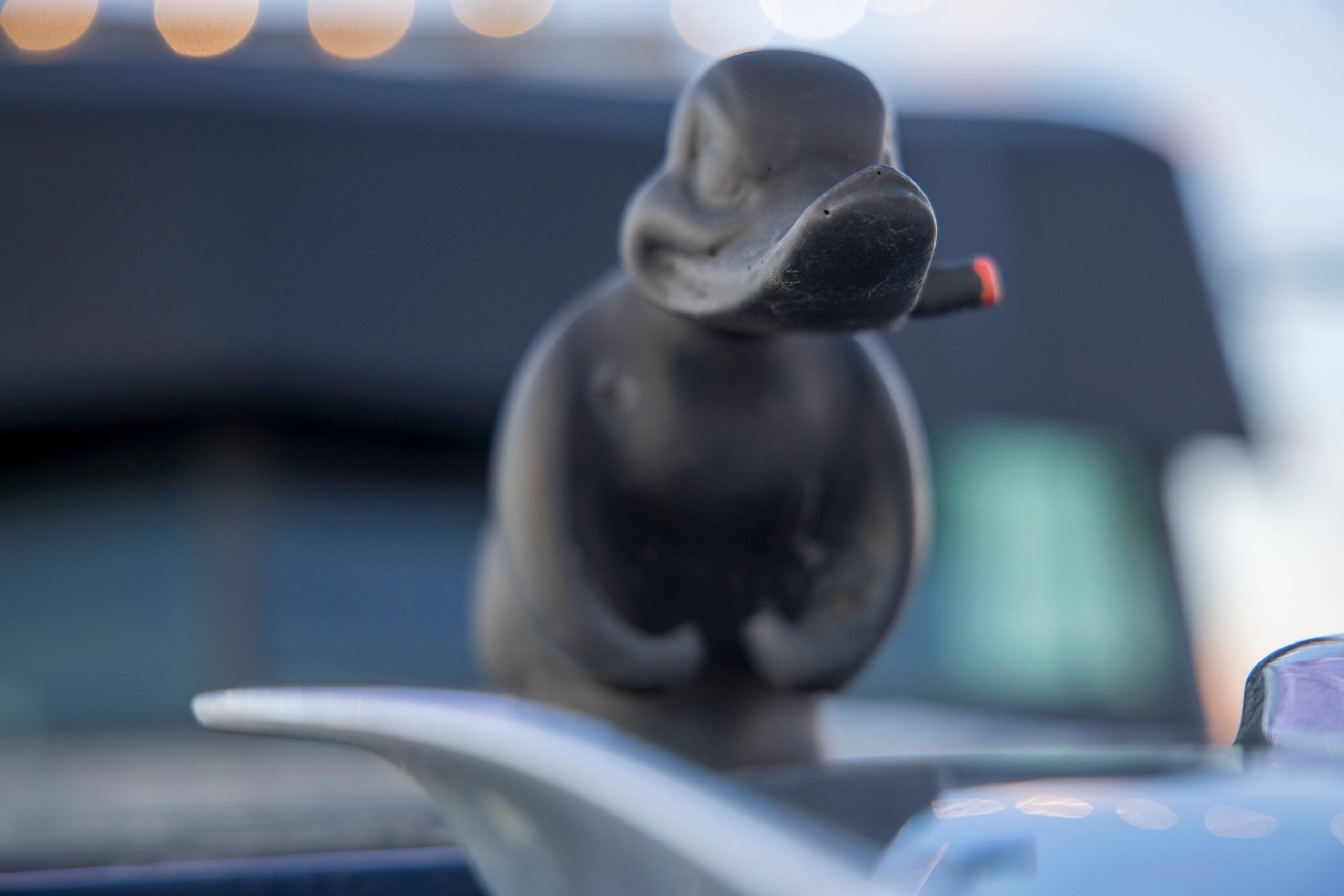 Разности. Портретный и семейный фотограф Санкт-Петербург