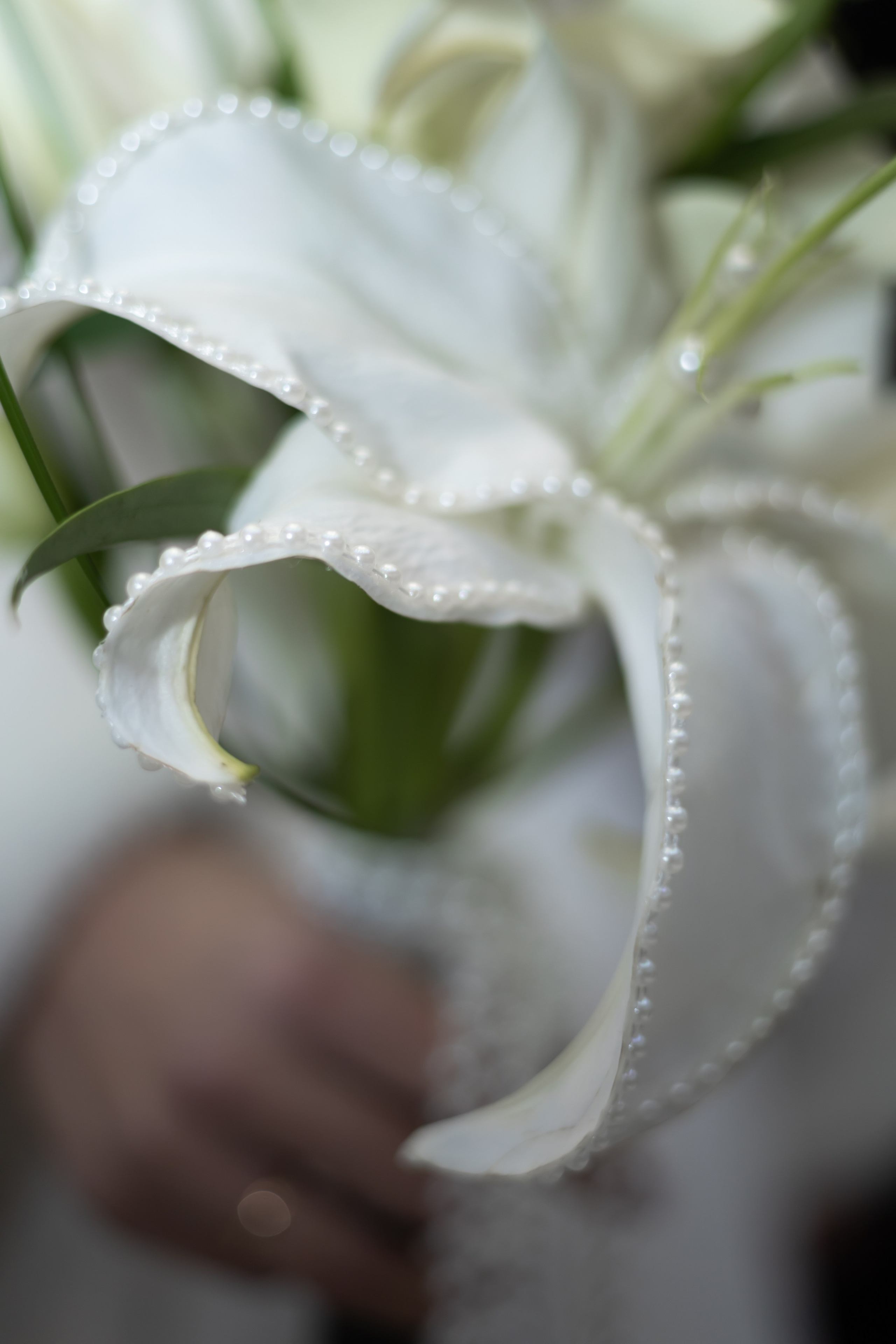 Кирилл+Дарья. Фотограф Элла Ефимова