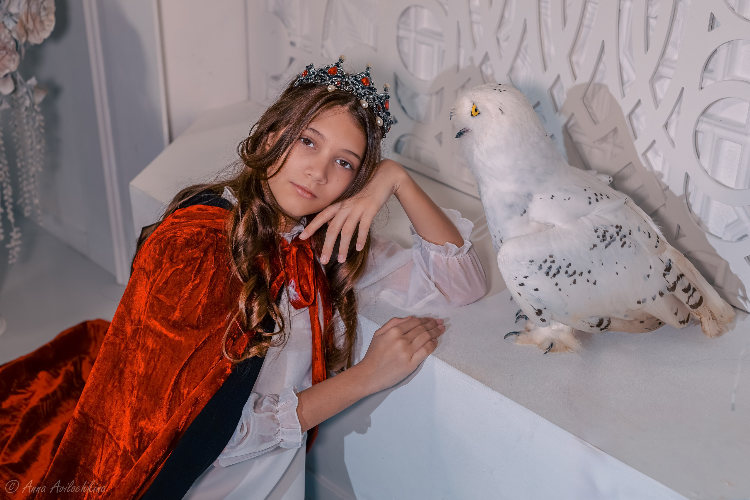 Альбомы стилизованных фотосессий и съёмки с животными. Семейный и свадебный фотограф в Москве и Домодедово Анна Авилочкина