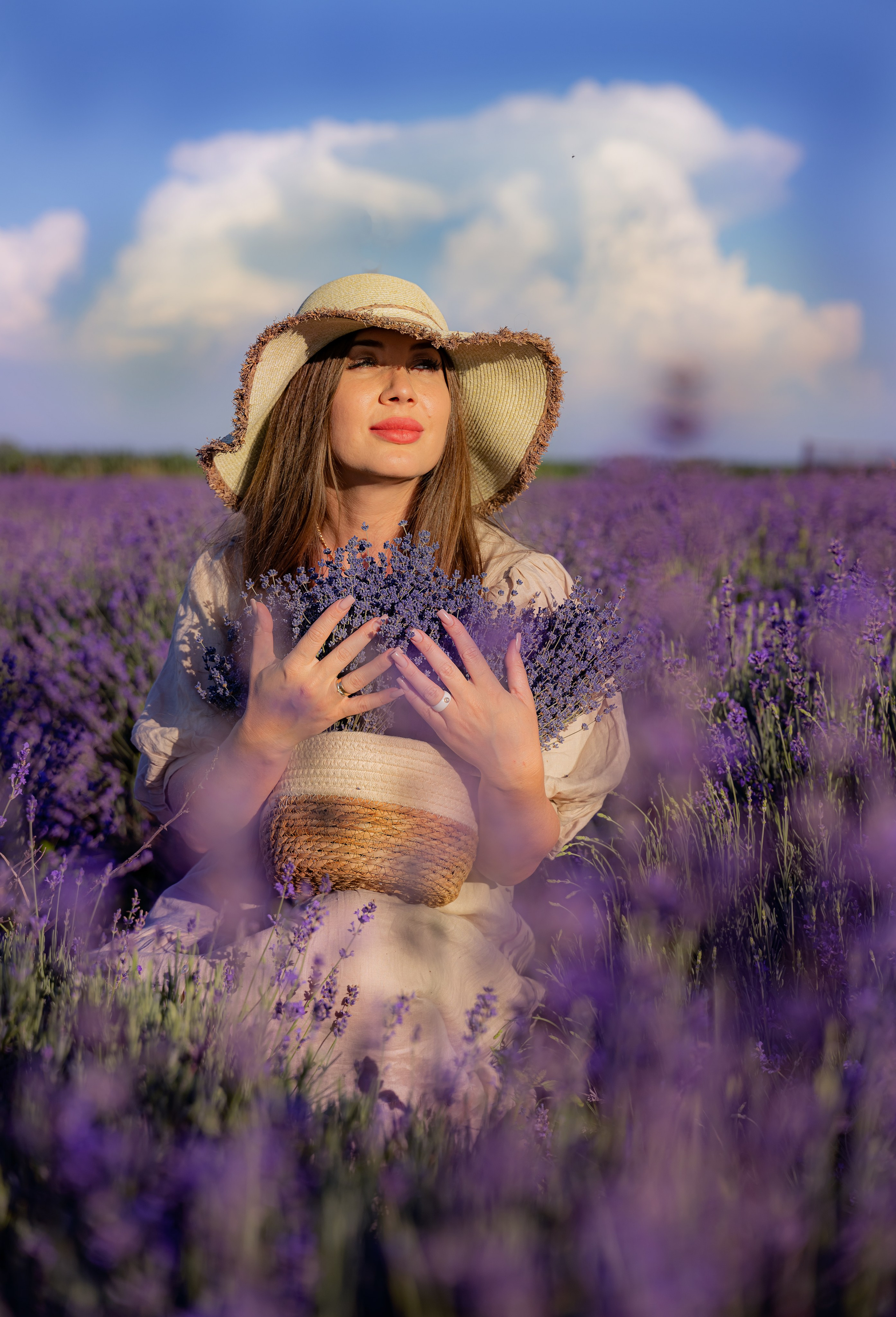 Лаванда. Главная