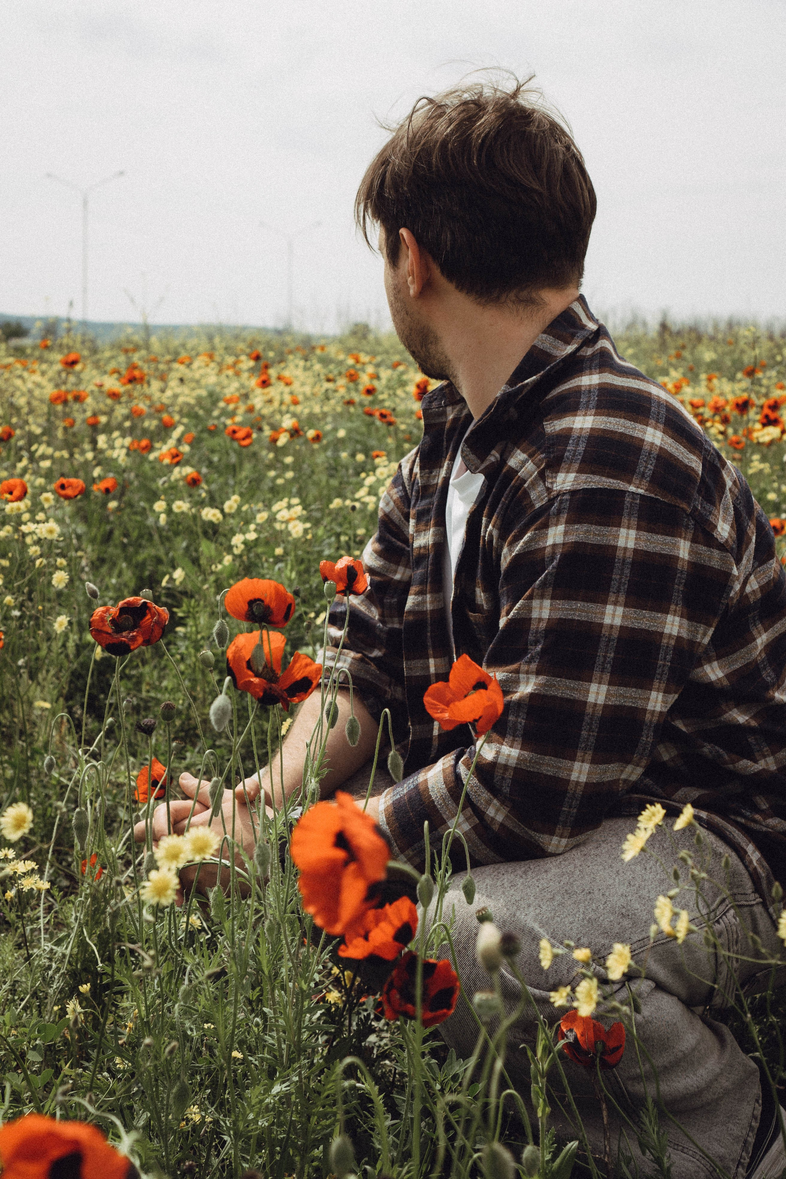 Маки. Профессиональный фотограф, Санкт-Петербург — Виктория Богомолова
