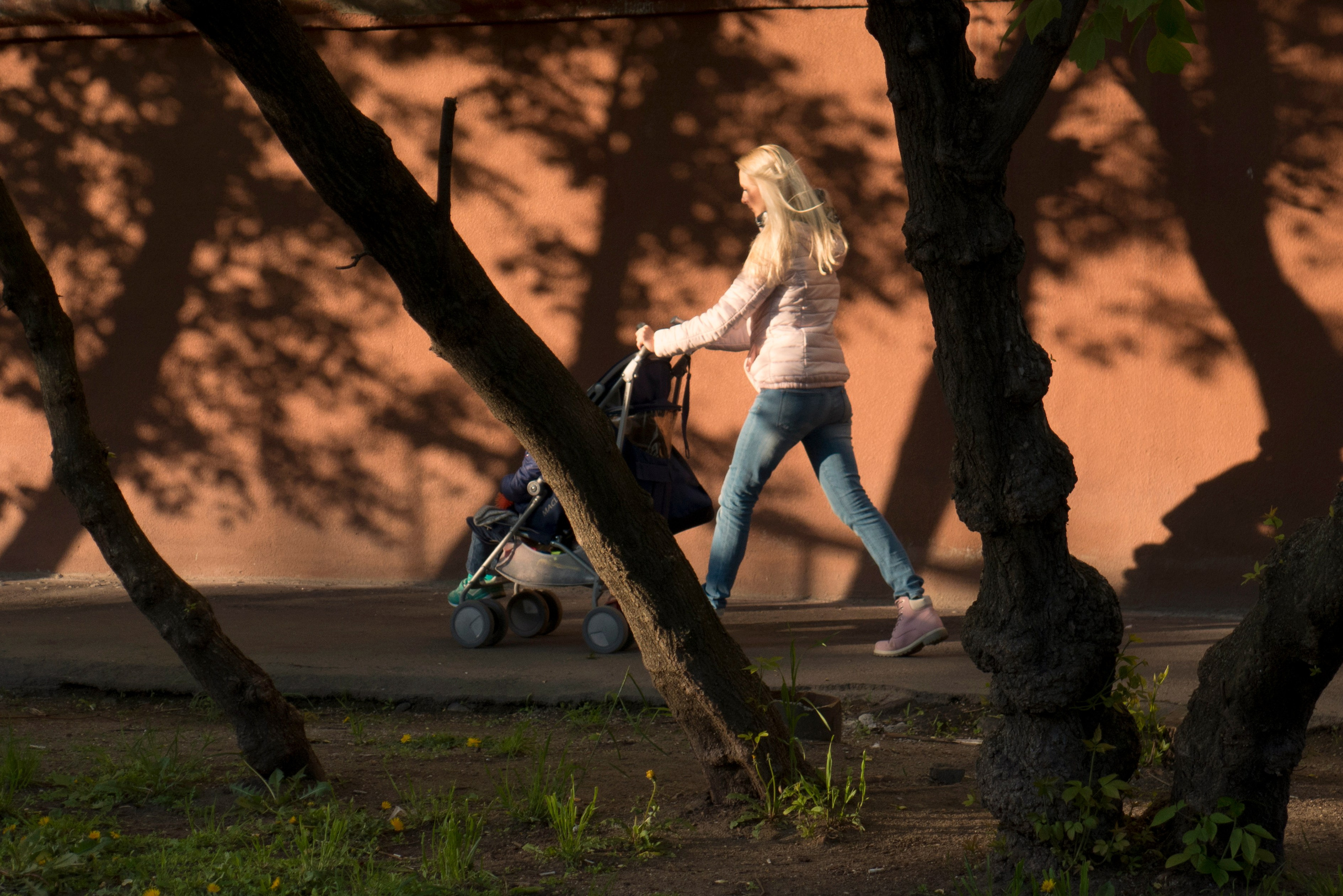 Жанр. Фотограф Лагутин Анатолий