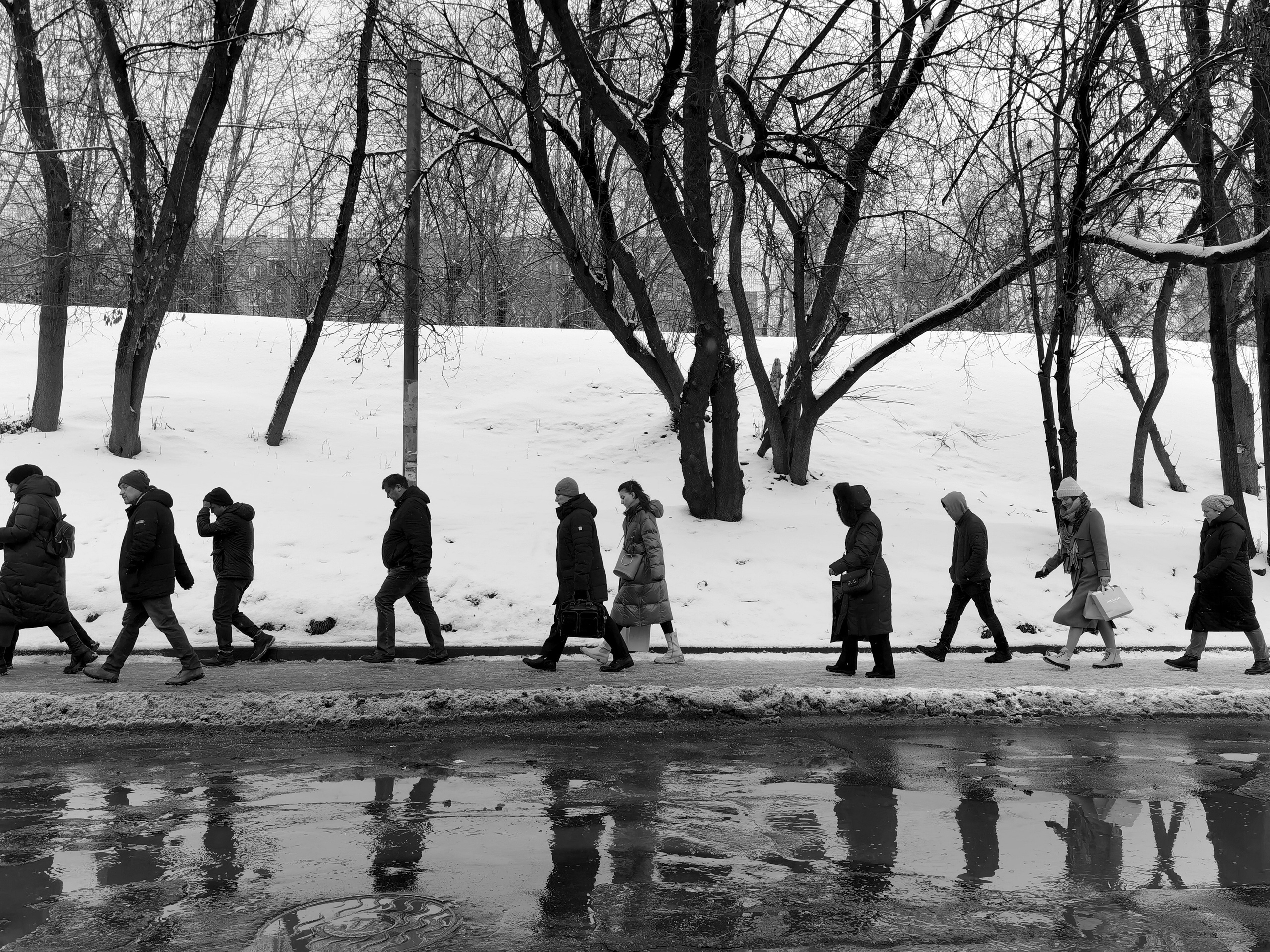 Жанр. Фотограф Лагутин Анатолий