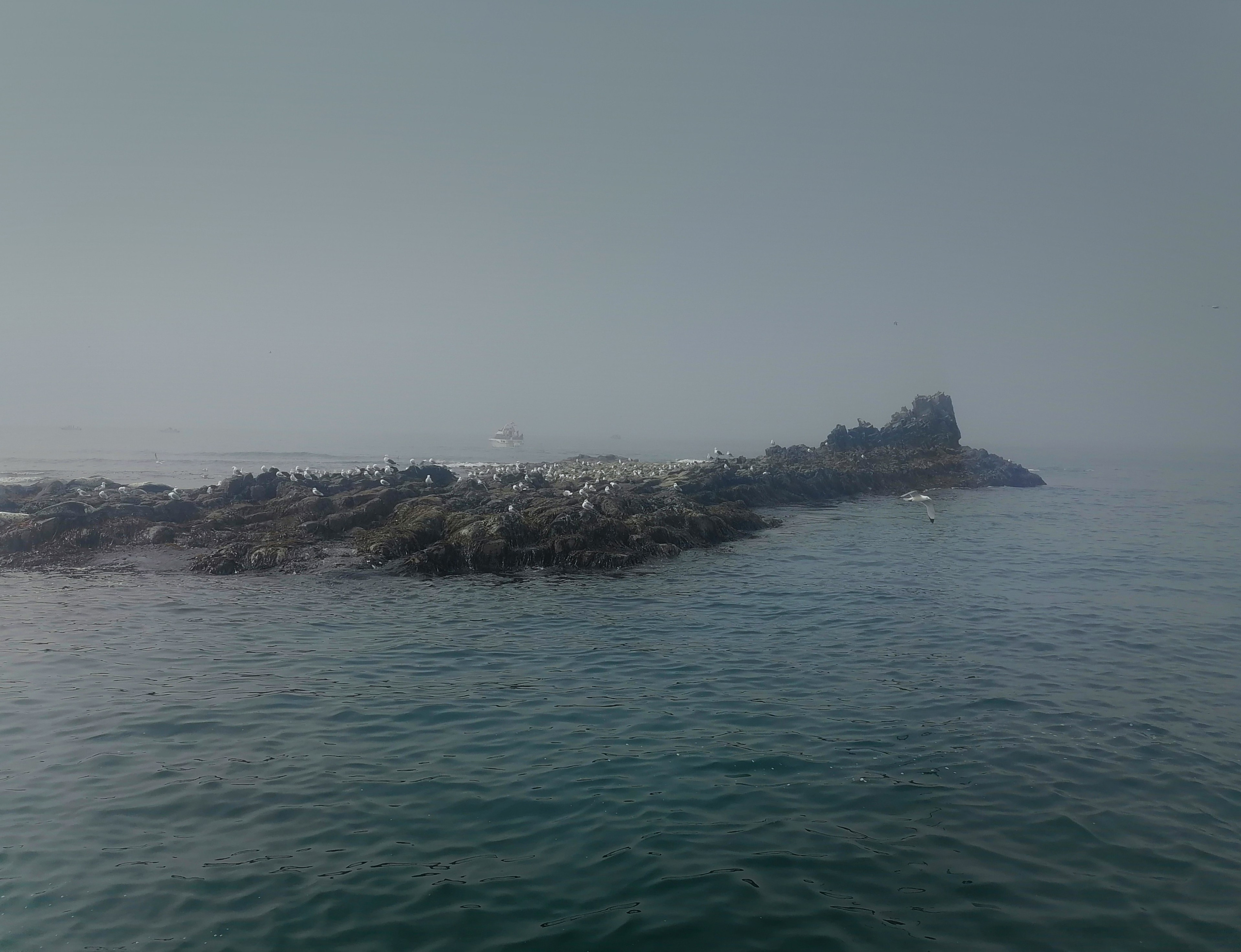 Пейзаж. Фотограф Наталья Туева FineArt съёмка