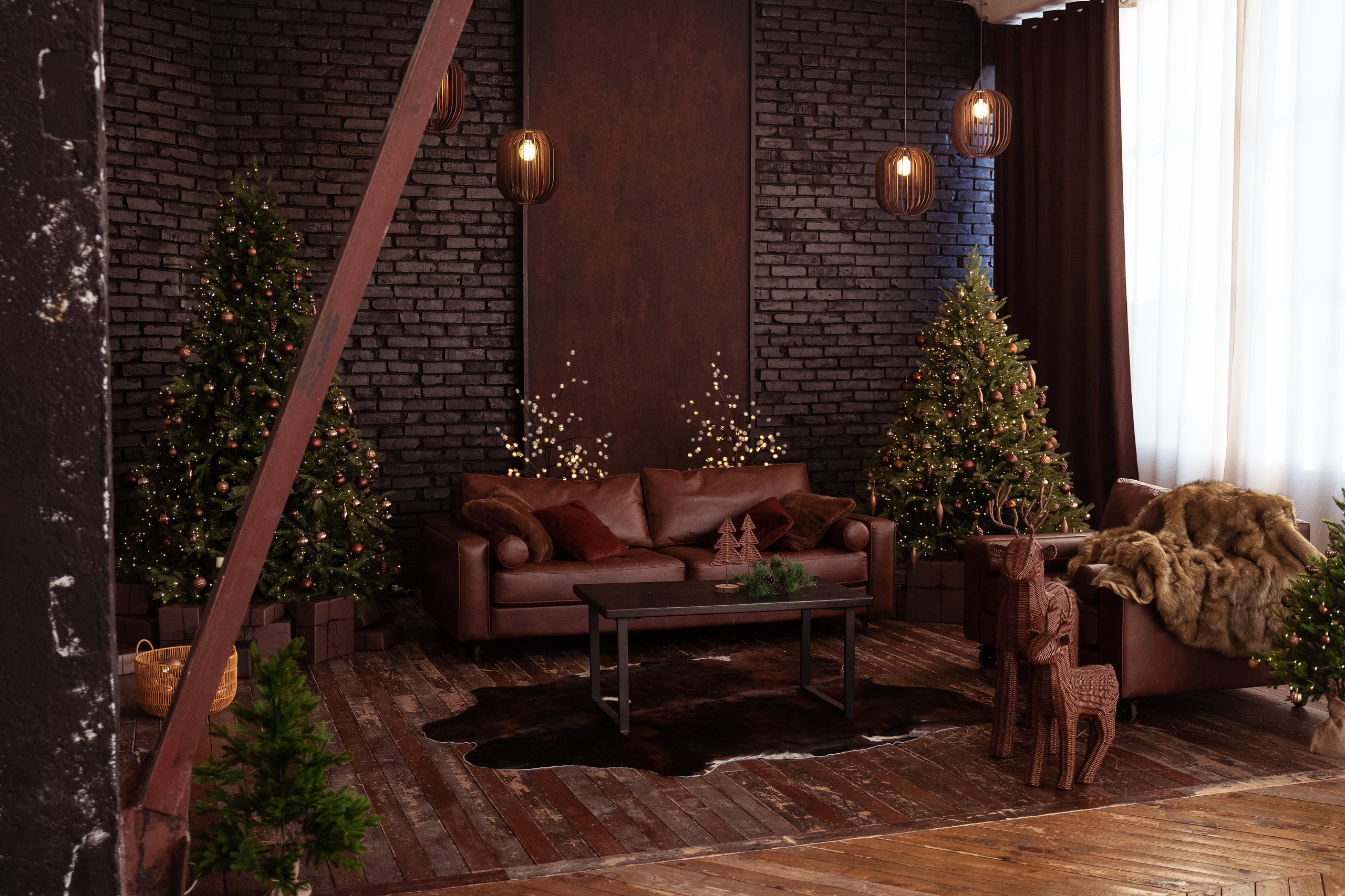 Браун (Brown). Фотограф г. Хабаровск. Семейные и индивидуальные съёмки