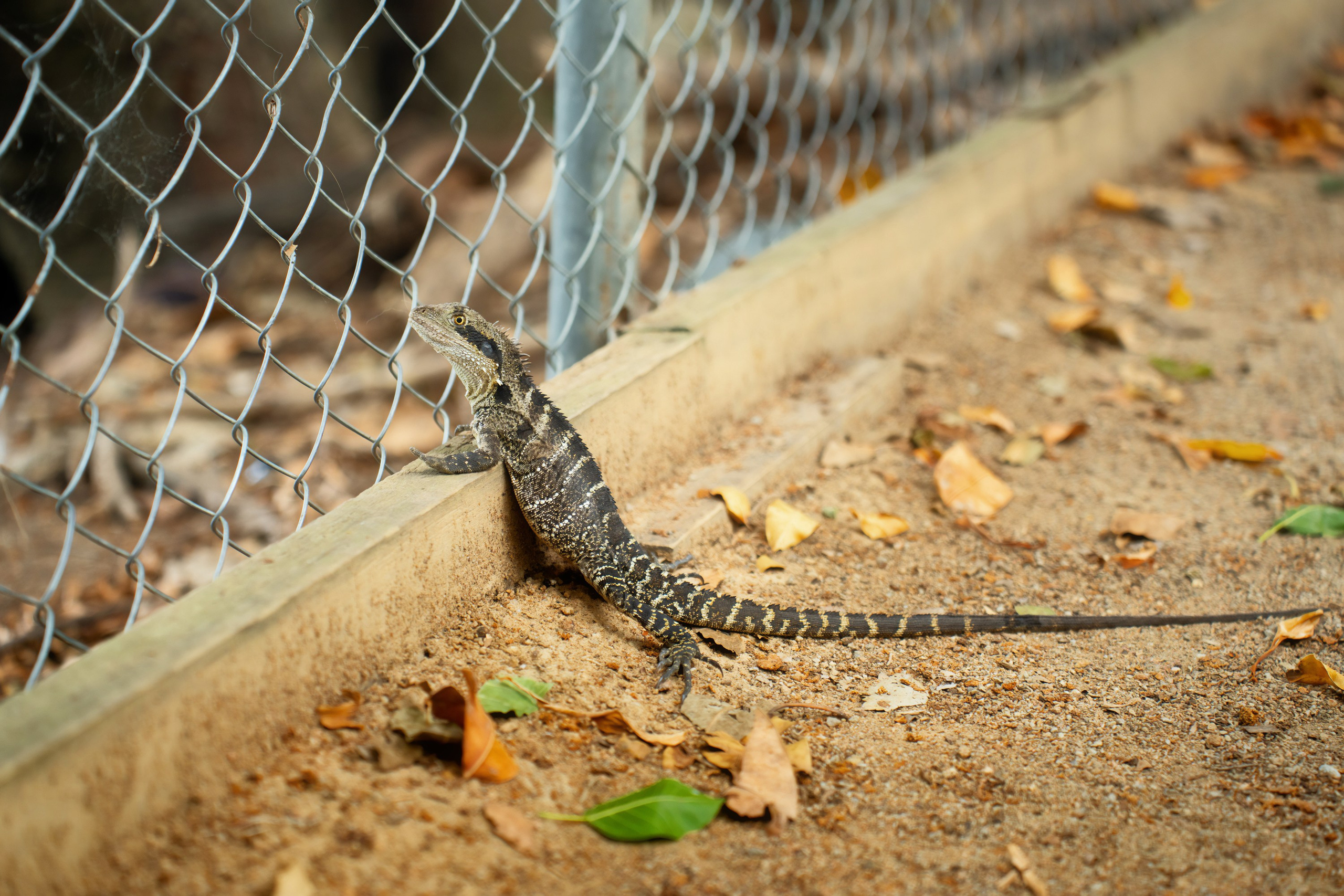 Портфолио. Фотограф в Хабаровске. Фотография за 24 часа