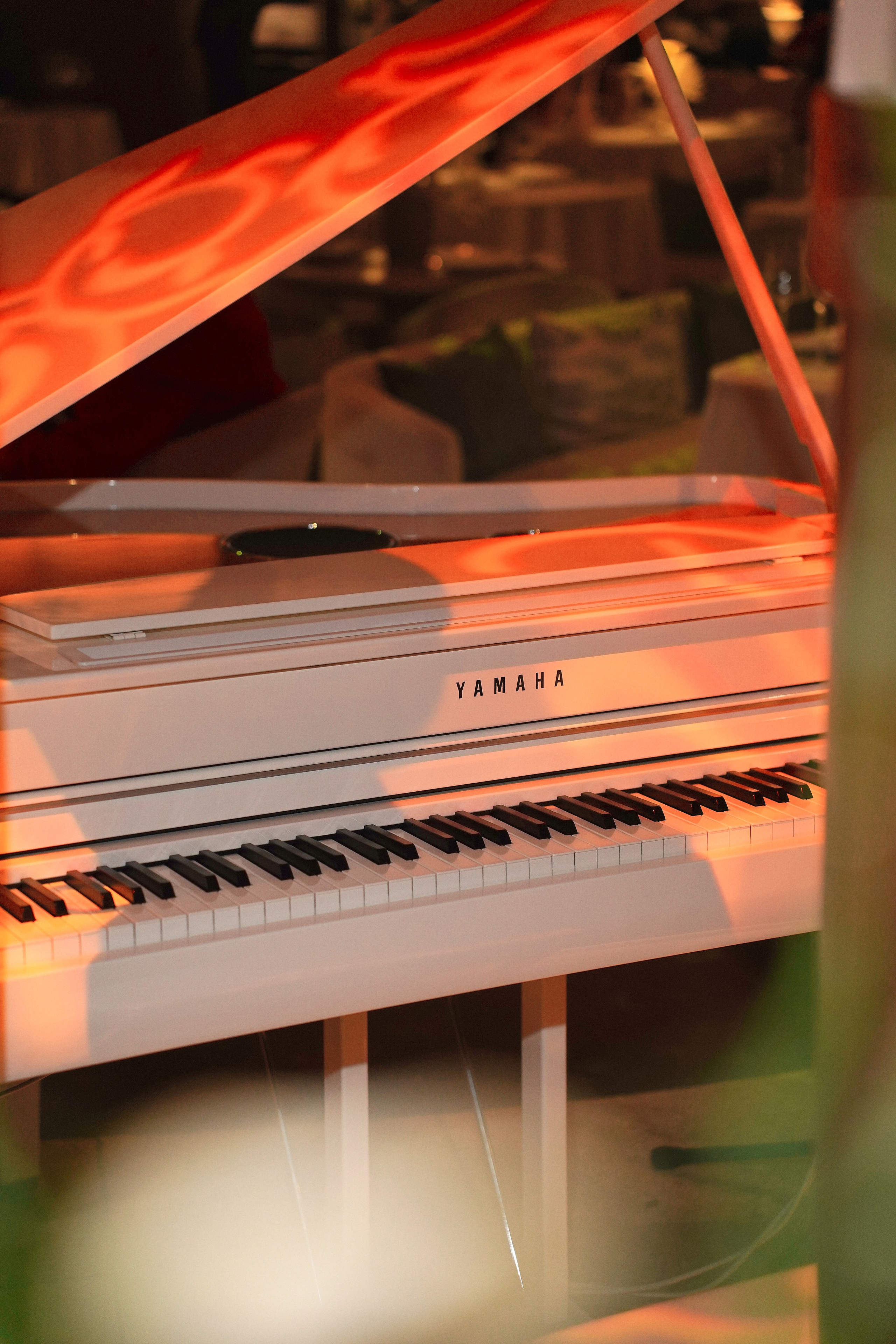 ZEA. Фотограф