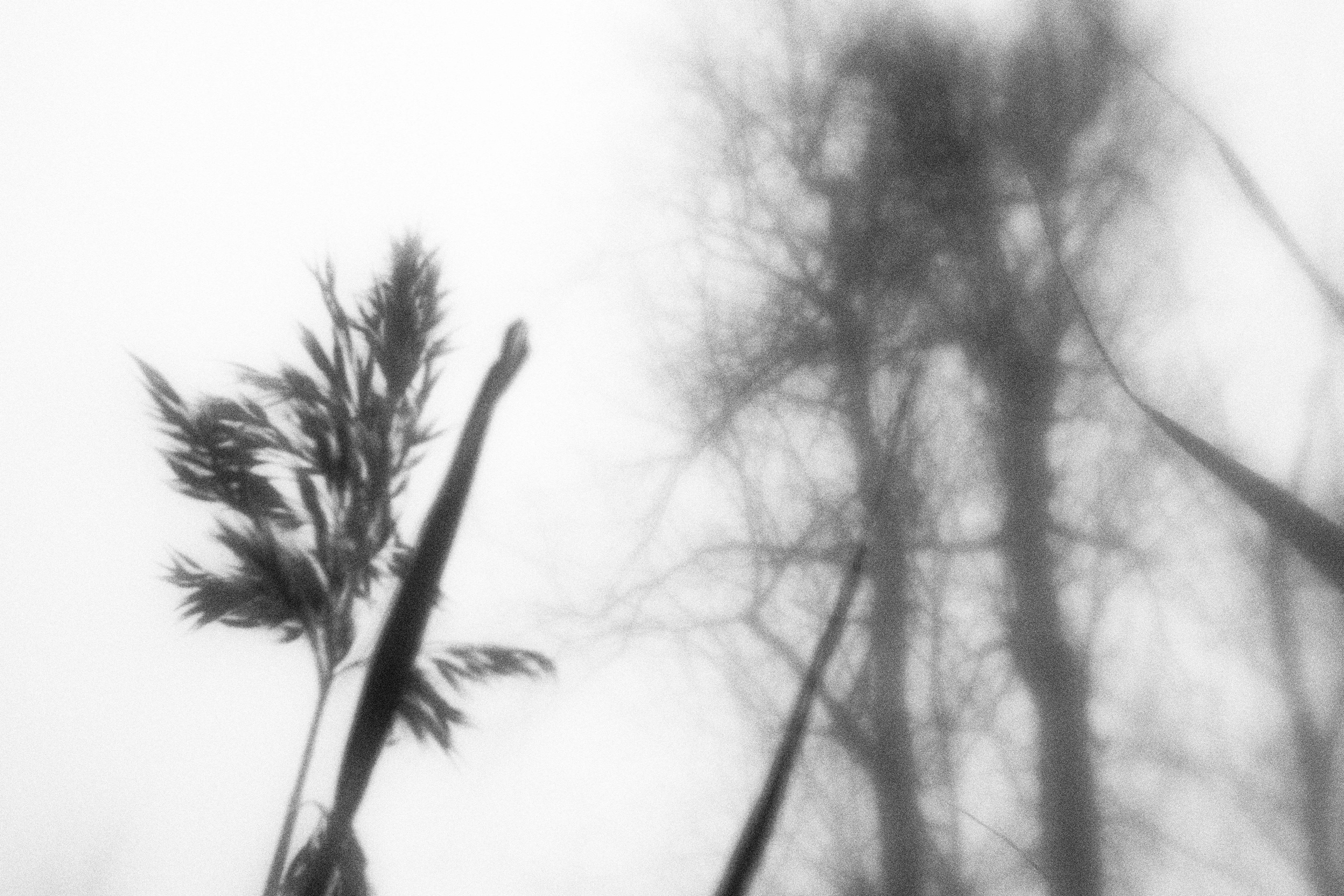 Внутривенные сны (2023)