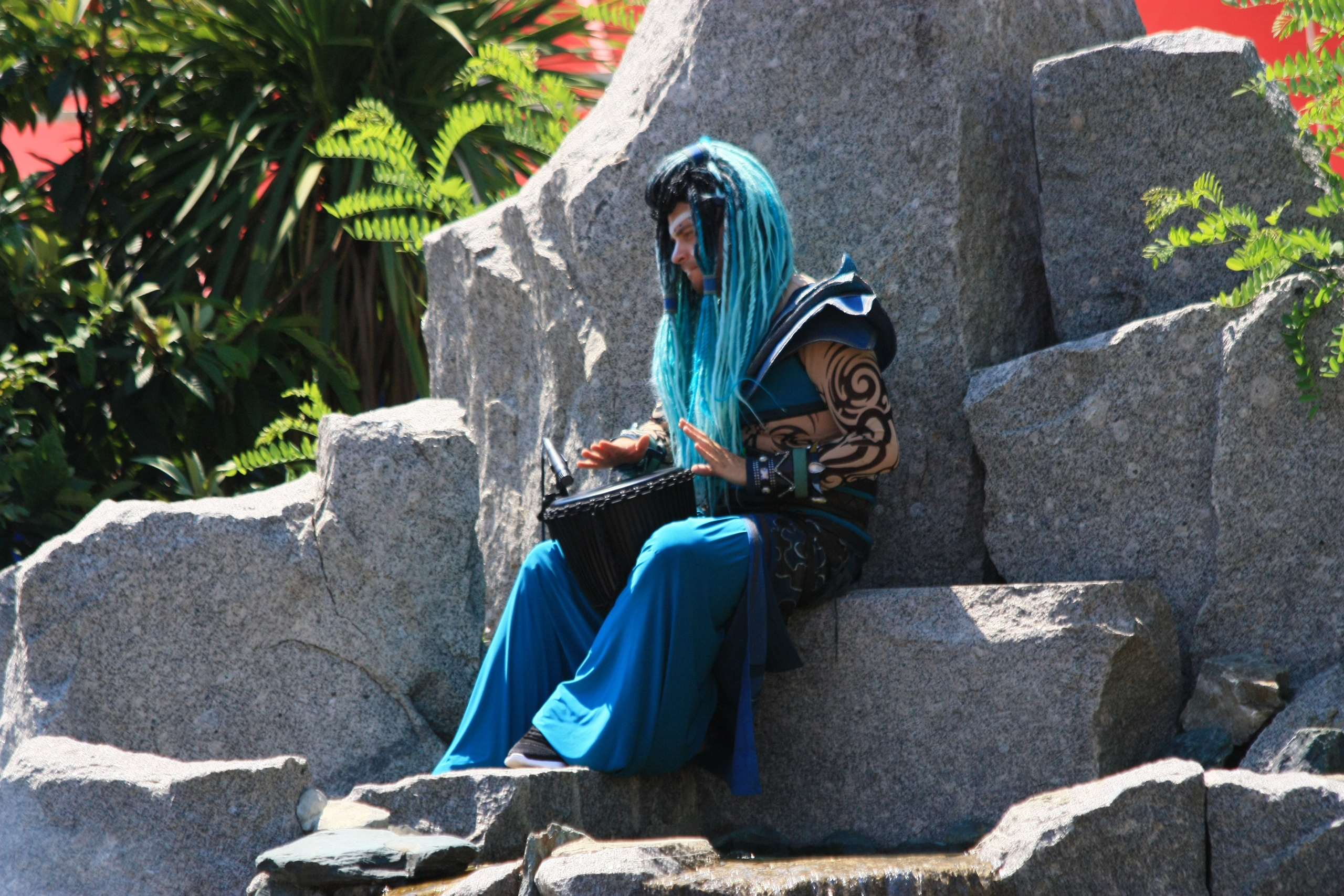 Первые кадры. Сочи — парк. Фотограф Роман Адлер