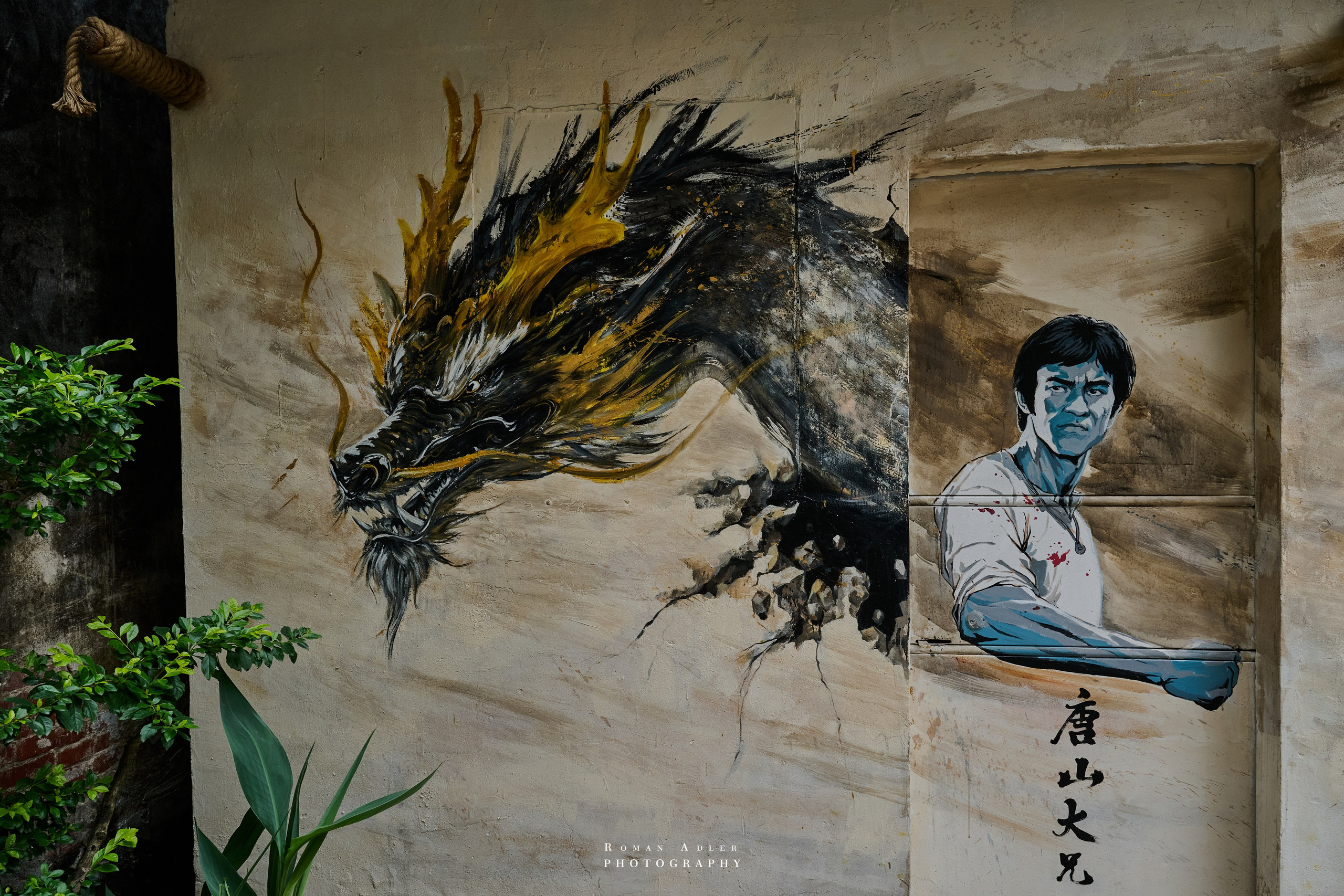 Дом предков Брюса Ли. 摄影师罗曼·阿德勒