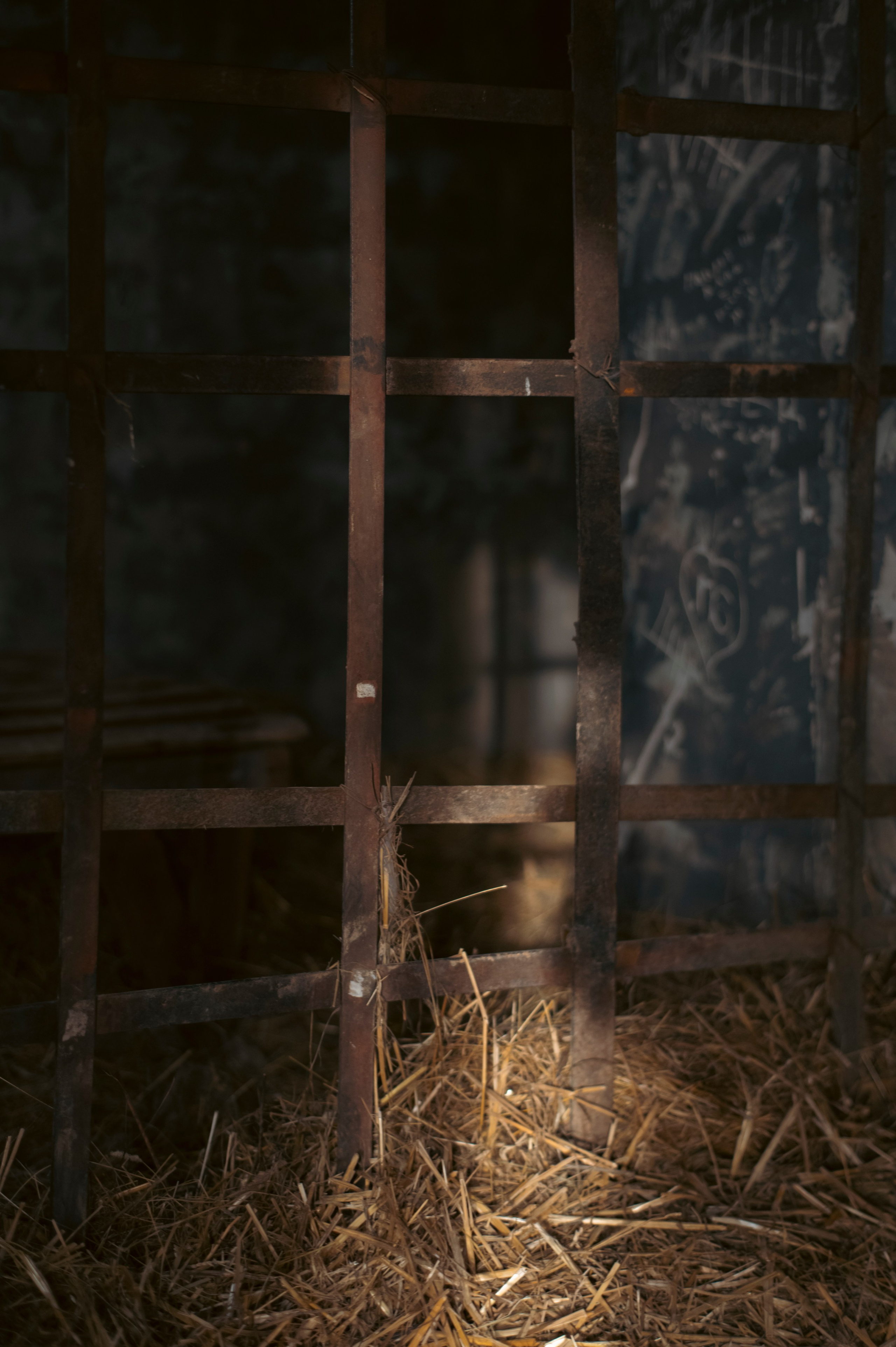 Фотопрогулка апрель 2022. Фотограф Роман Адлер