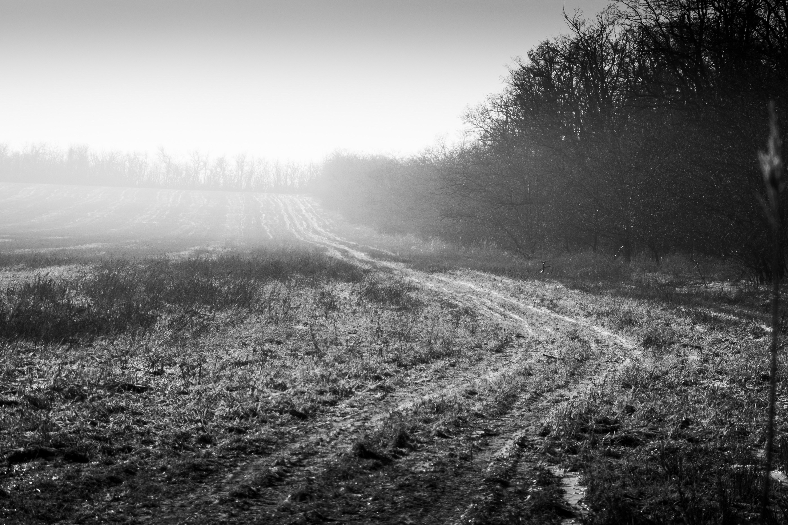 Деревня / Юг. Фотограф Антон Денисенко: Портрет, Документалистика, Пейзаж. Москва