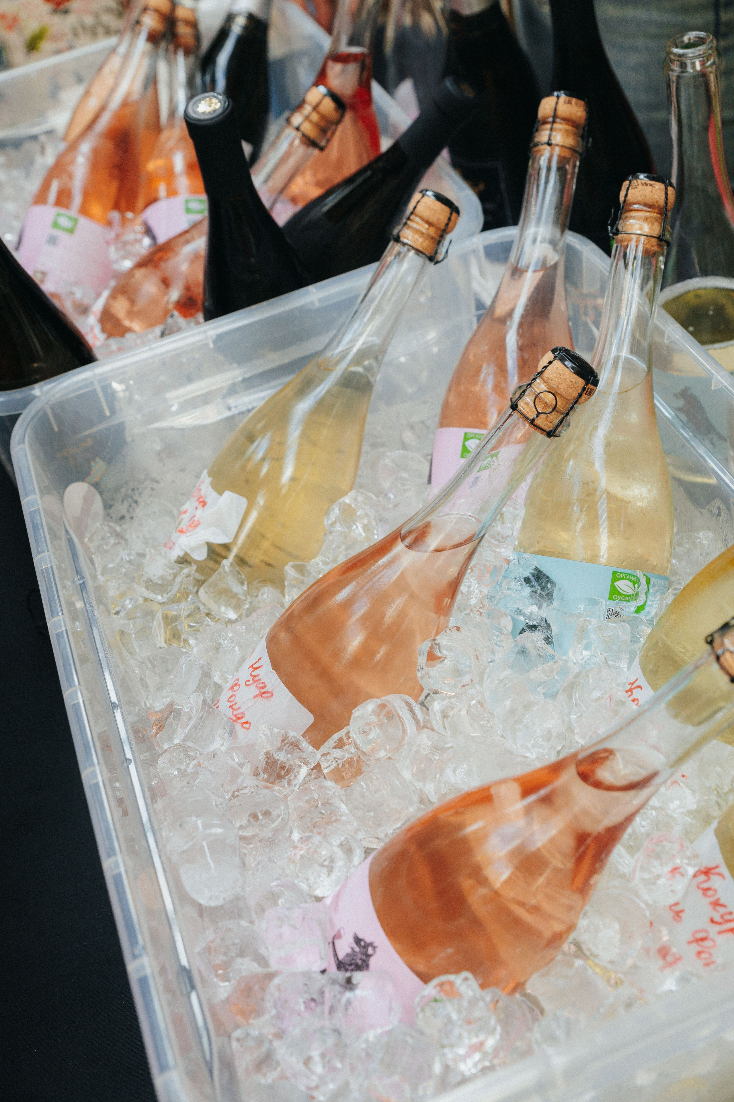 RusWineFest — 2025. Фотограф ЕКБ