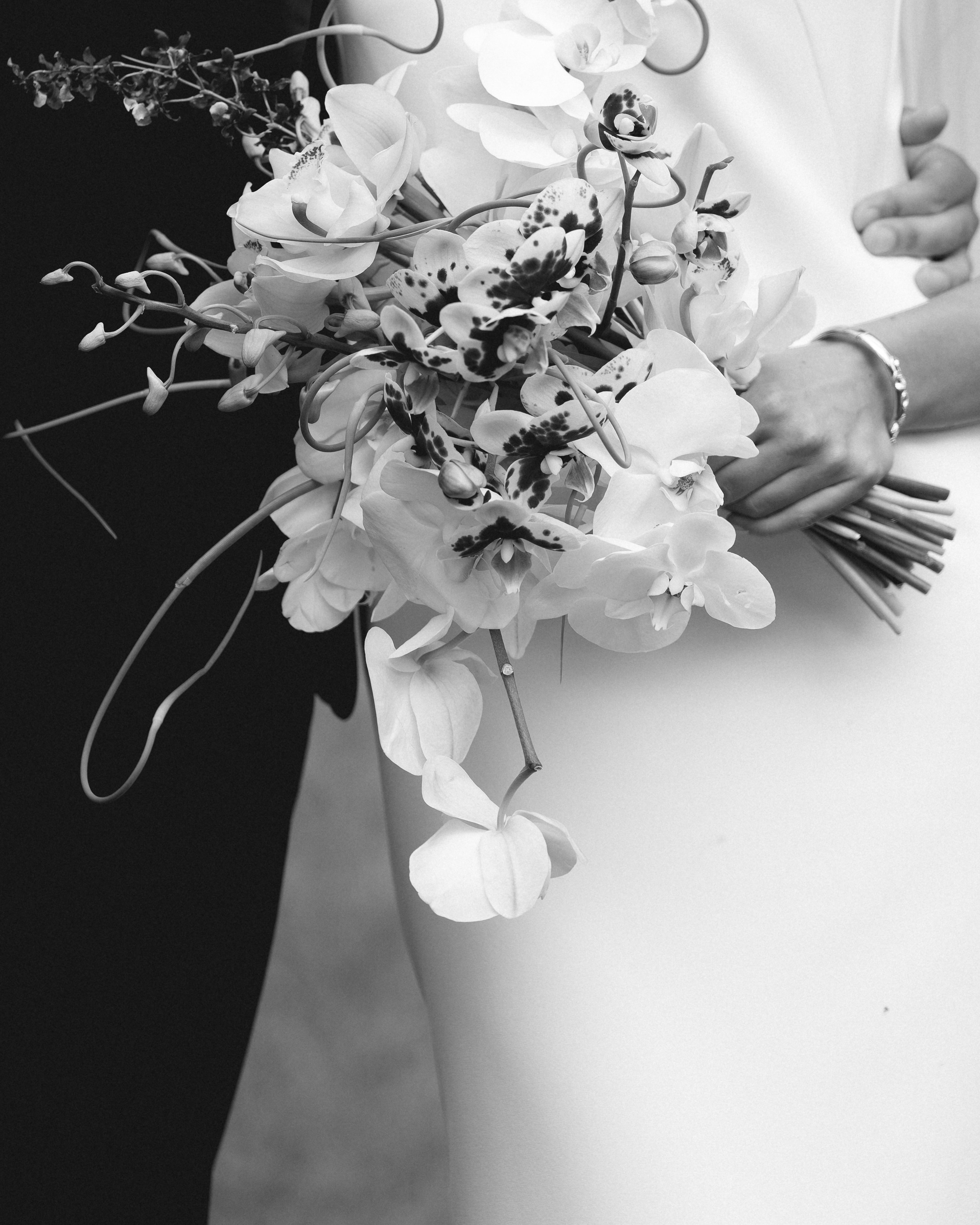 Женя и Костя. Свадебный фотограф Михаил Мирзоян