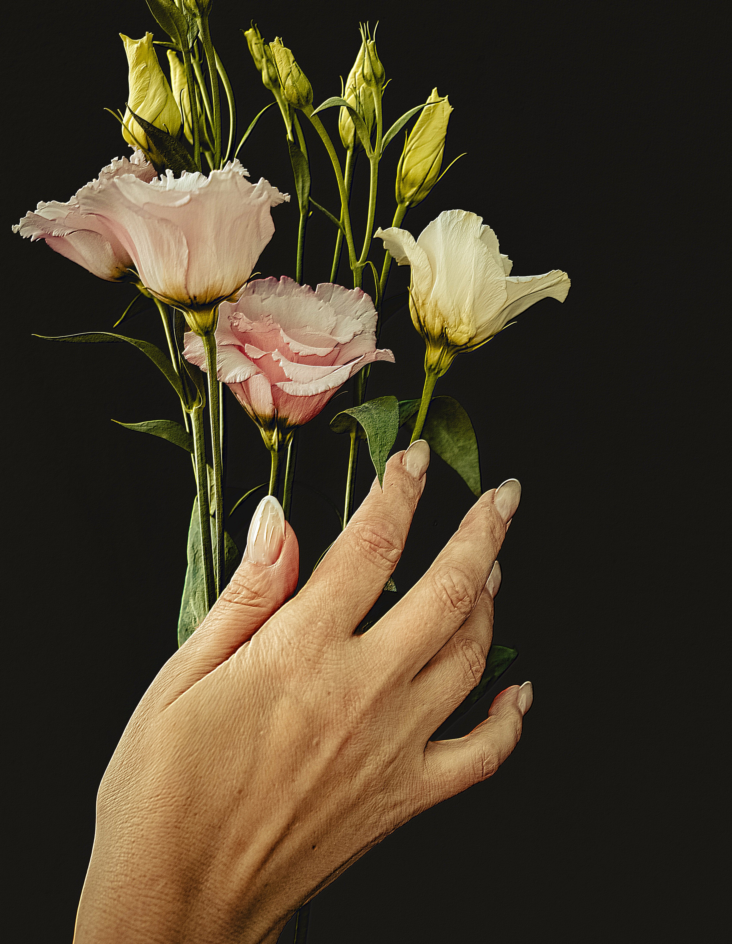 Природа &. Фотохудожник в СПб