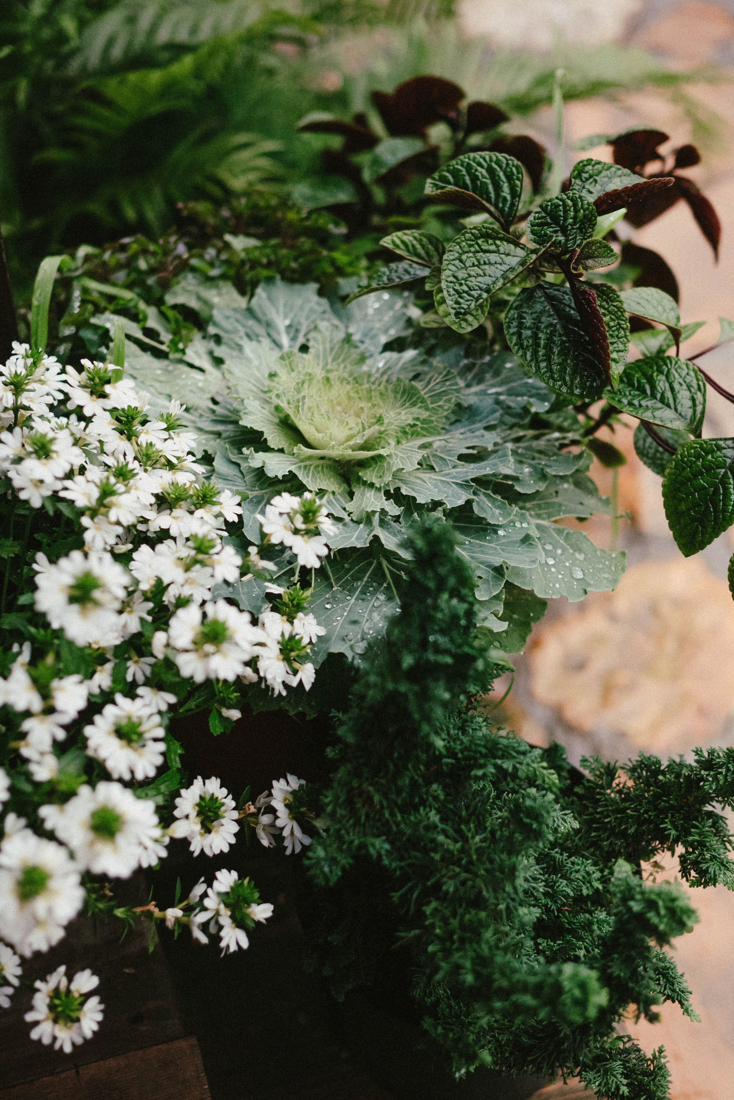 Лесное царство Оксаны. Свадебный и семейный фотограф в Новосибирске, Санкт-Петербурге, Москве