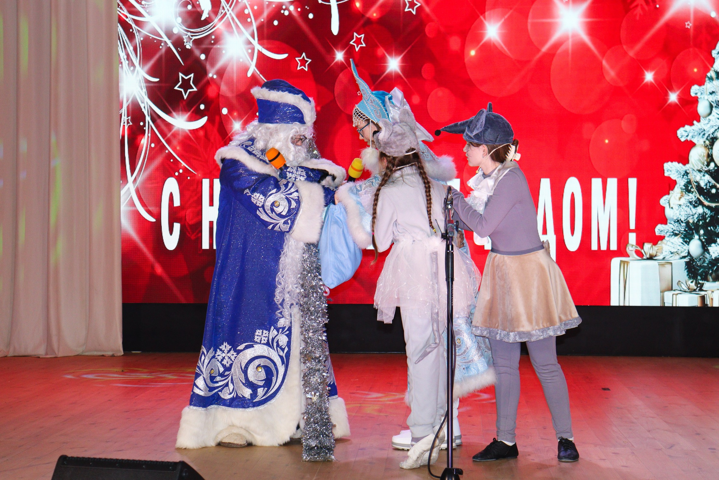 Новогодний концерт Шишли-Мышли