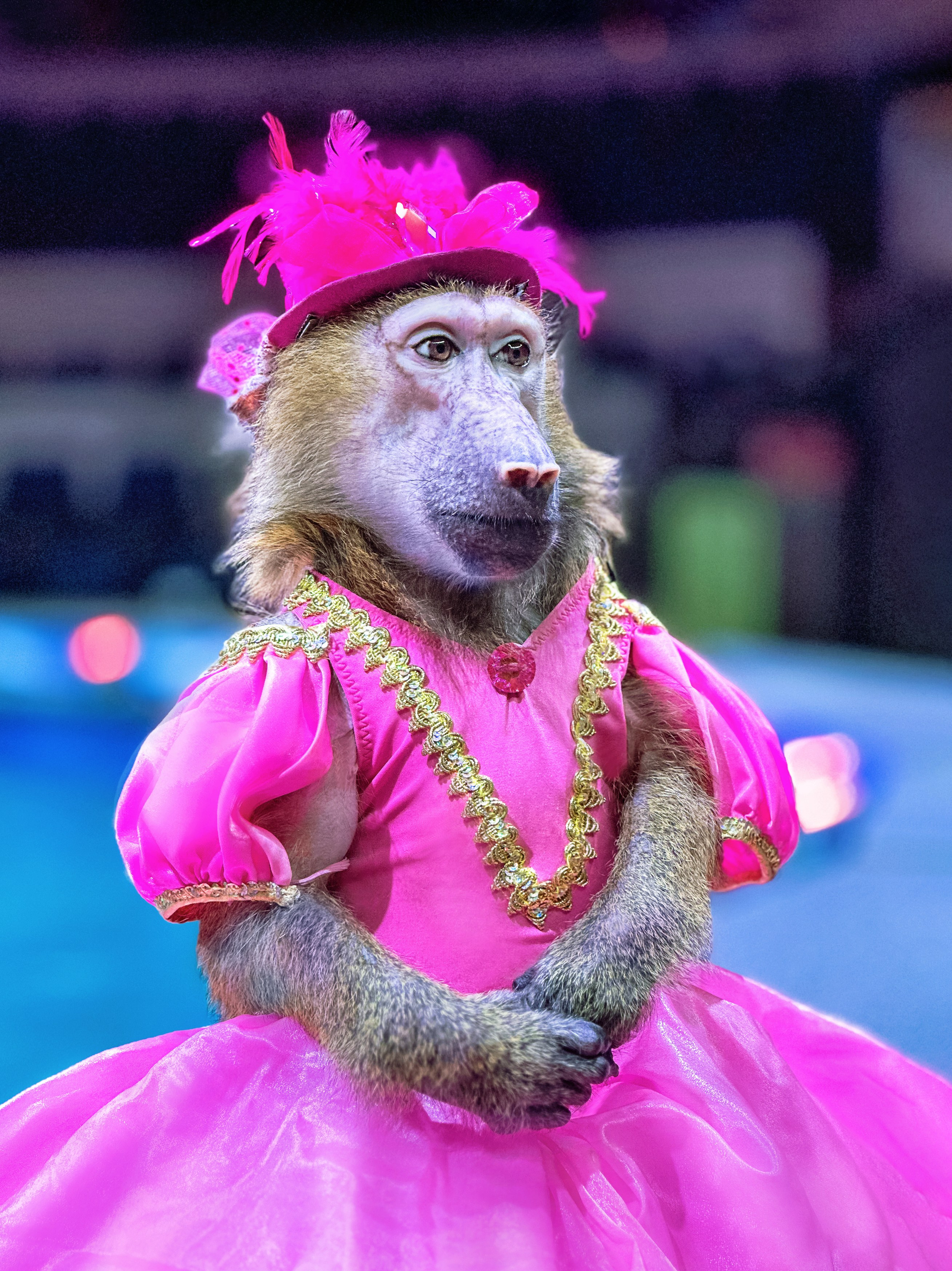 Цирковой мюзикл на воде ОДИССЕЯ. Фотографы для фотосессий в Новосибирске