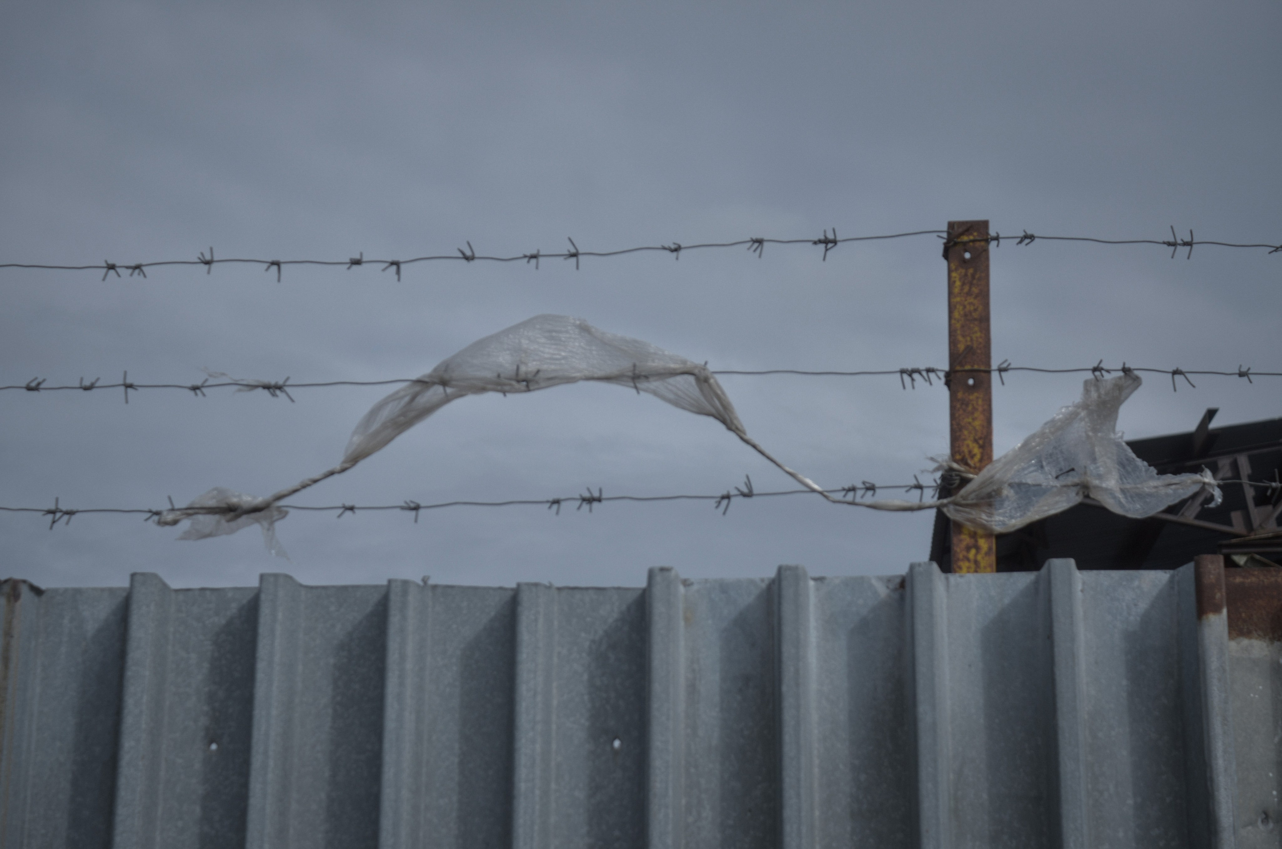 «П.ДД.Н». Fedor Kalinin