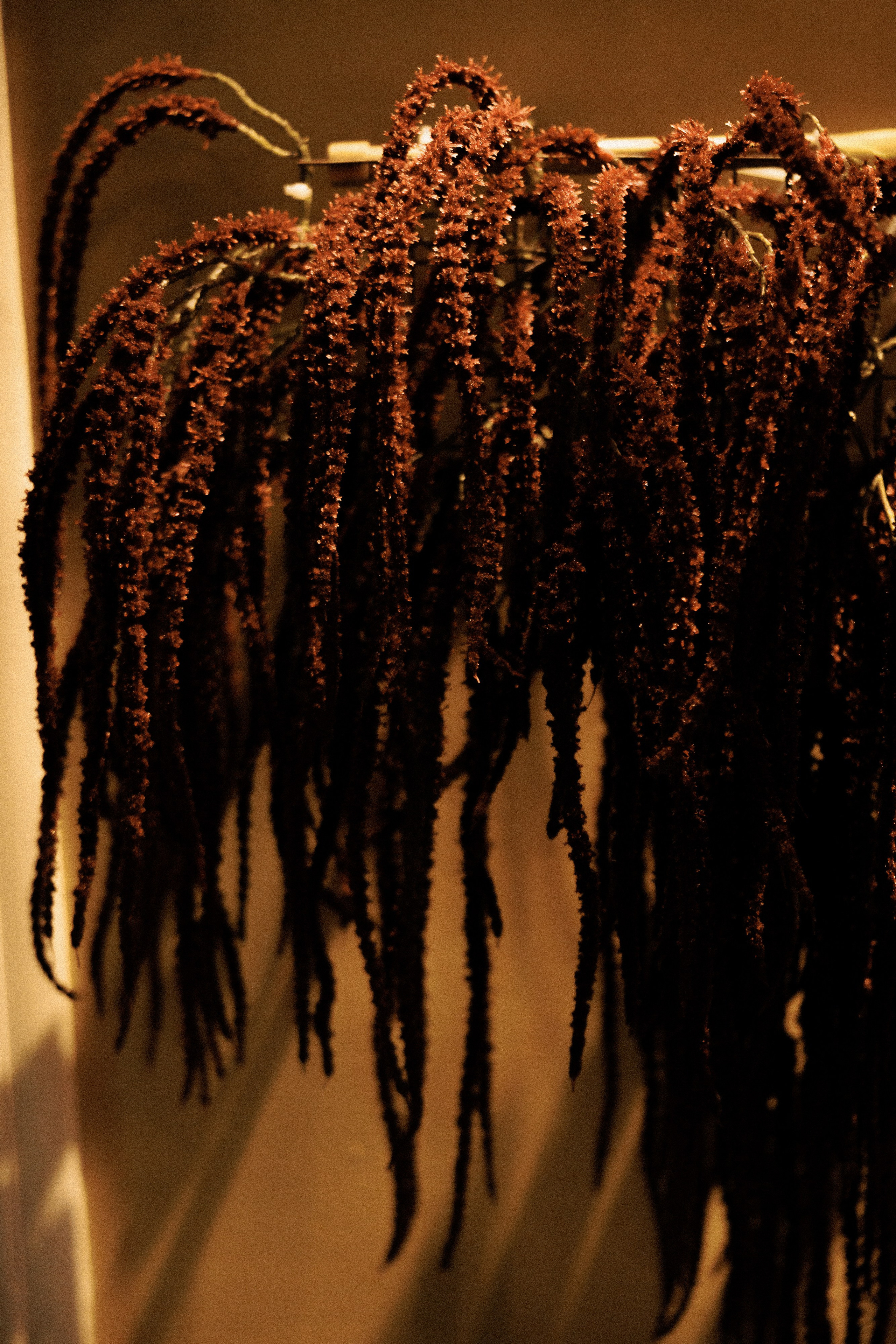 LS. Wedding party. Свадебный и event-фотограф Иван Волнухин