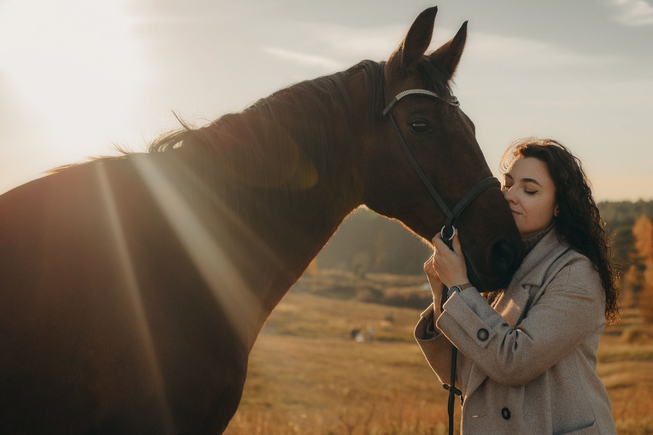 Наши пушистые дети. Главная