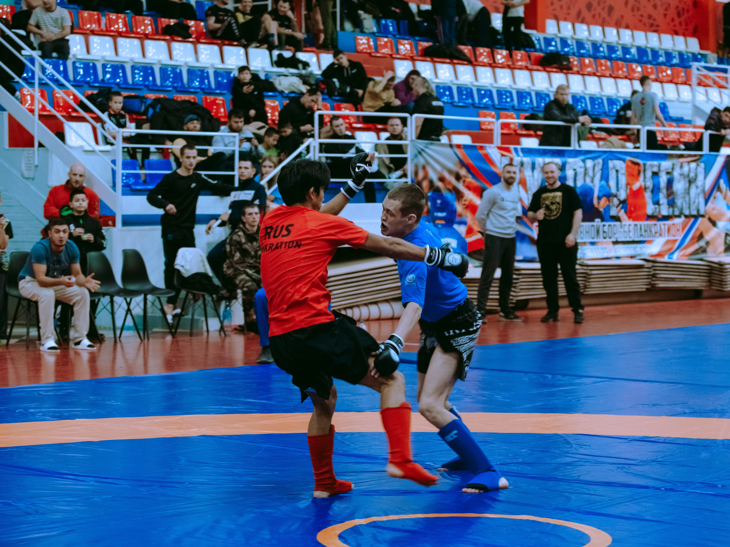 Кубок России по спортивной борьбе панкратион `23. Портретный фотограф в Москве Дарья Цезария