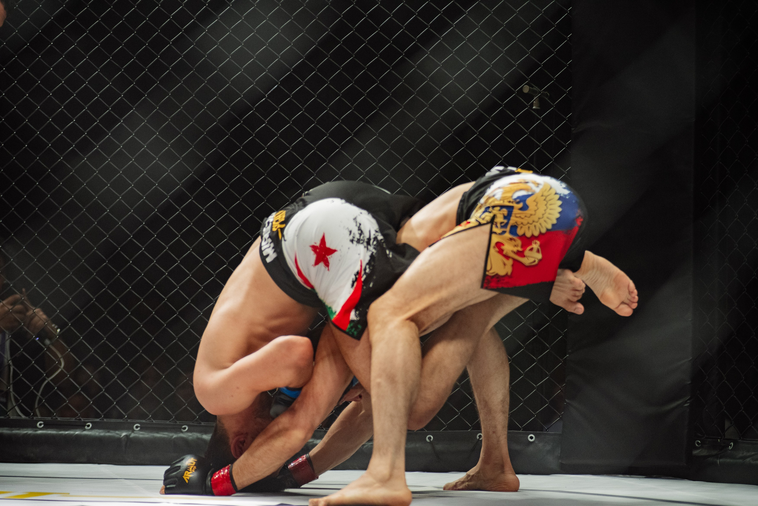 Miroslava Fight