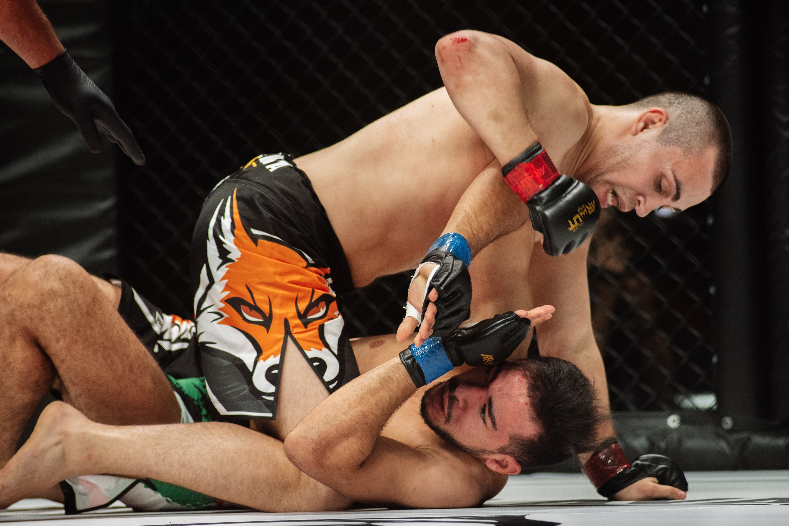 Miroslava Fight