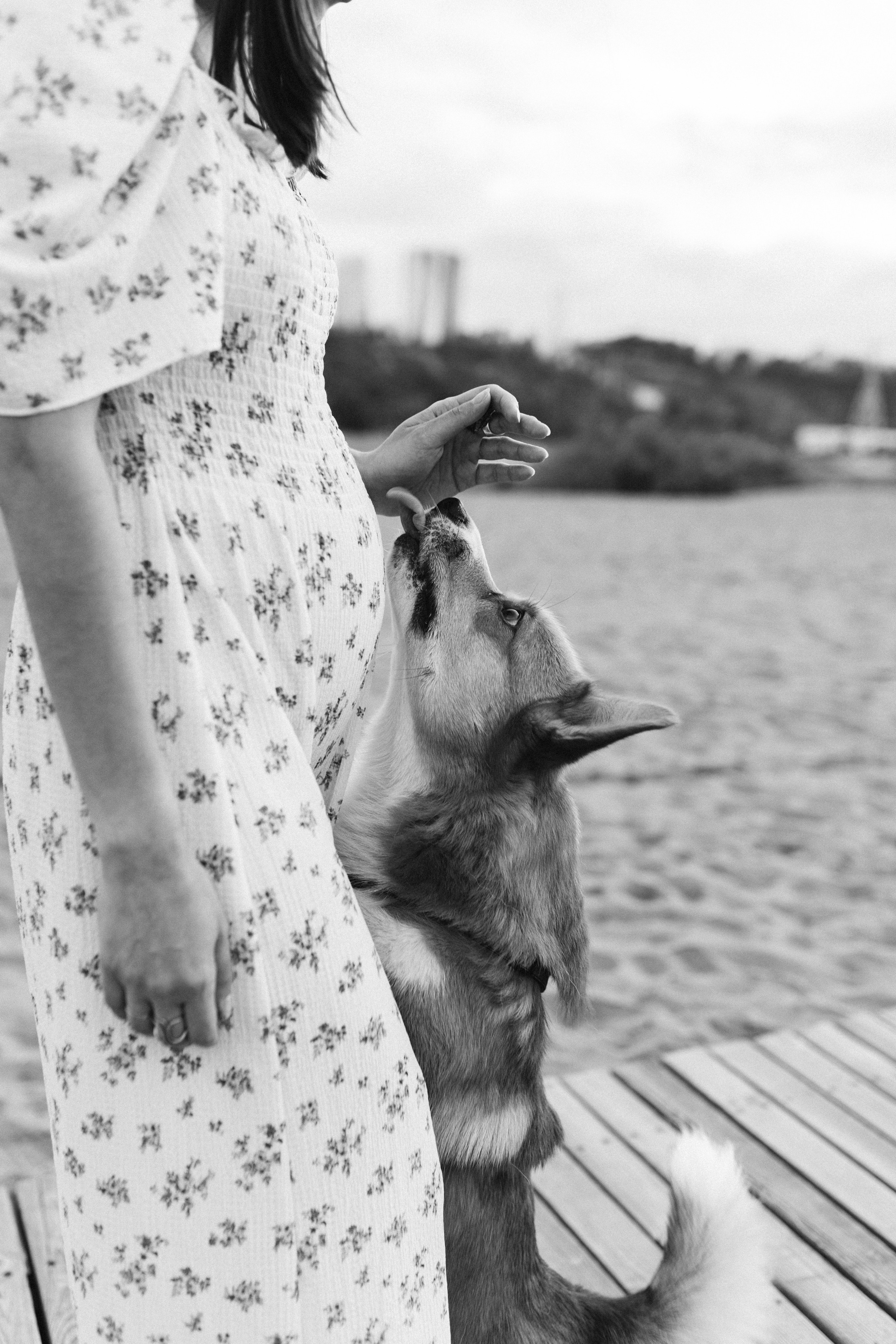 Эля, Денис и Сэми. Фотограф в Нижнем Новгороде Лебедева Елена