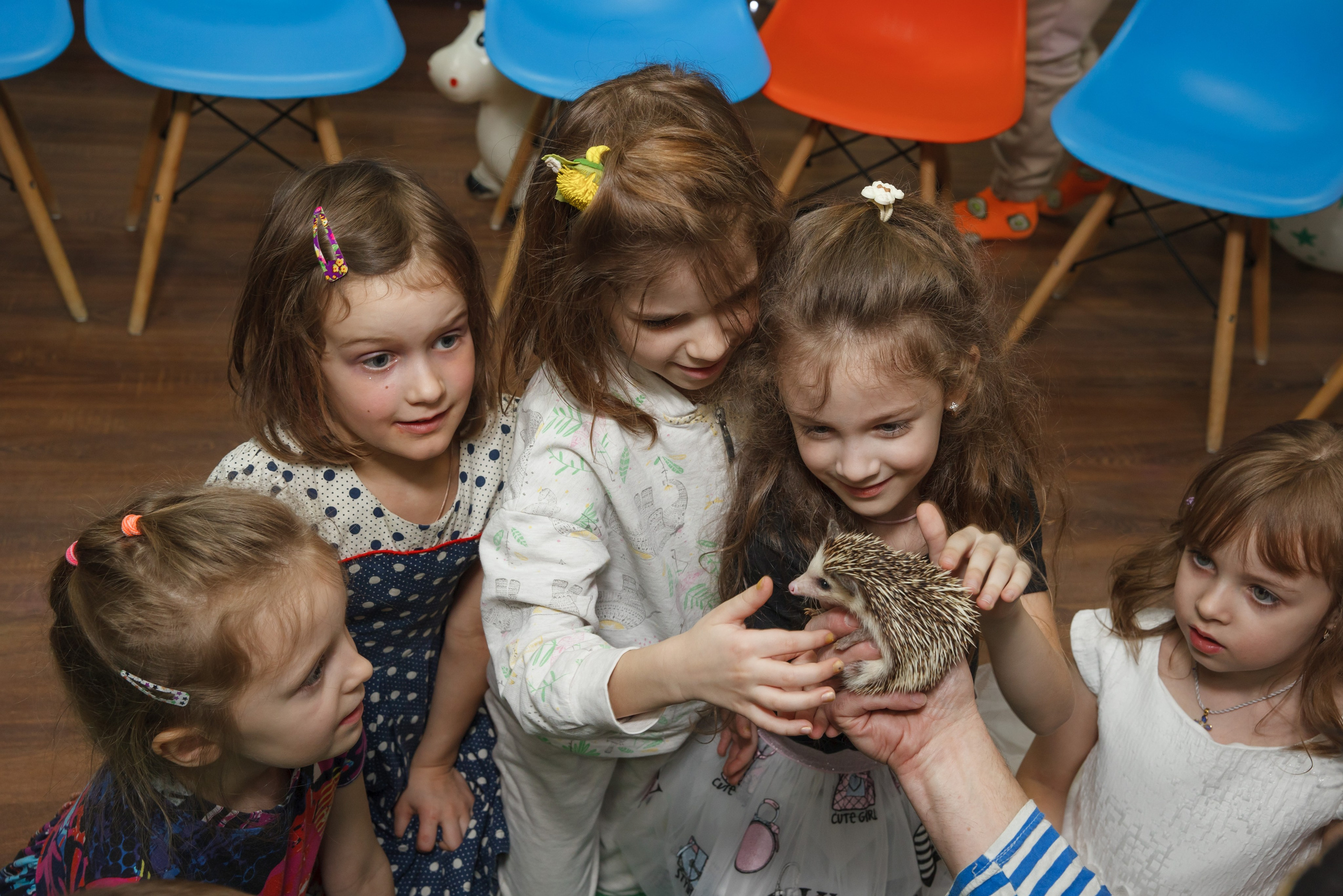 День рождения Егора, 6 лет, «Мультяшка». Свадебный и репортажный фотограф (Москва, Королев и другие)