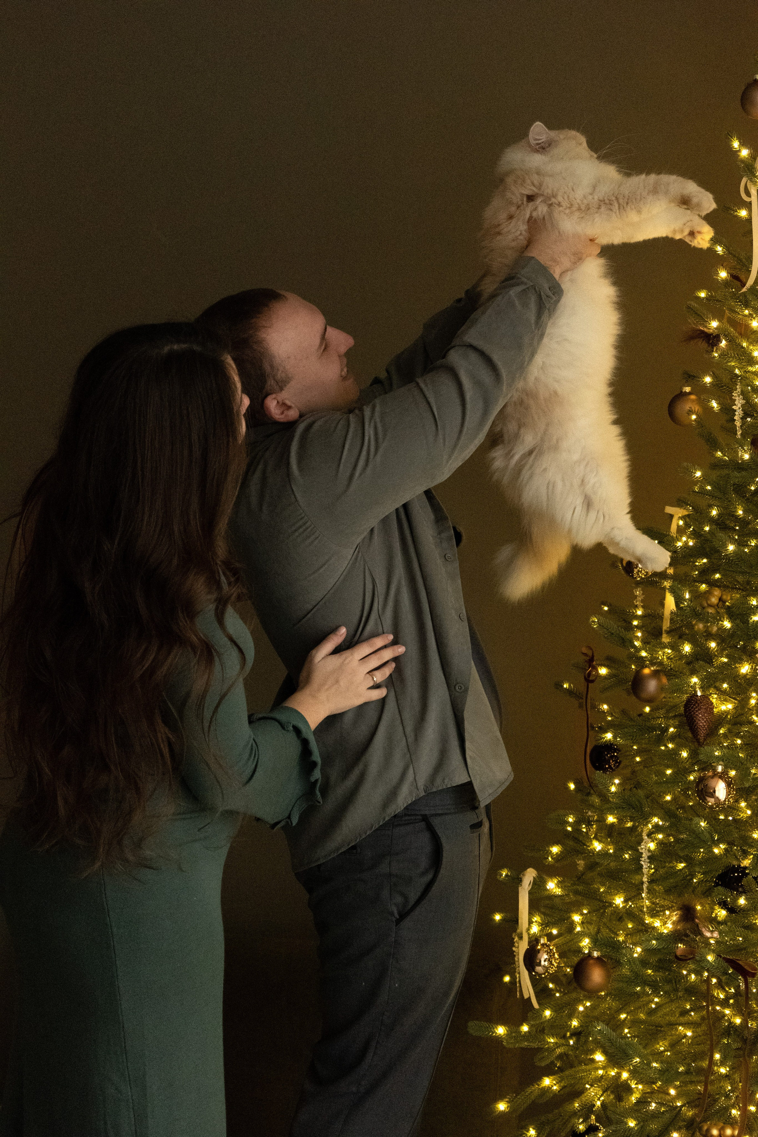 Домашняя новогодняя фотосесиия беременности. Фотограф видеограф Ольга Василевская