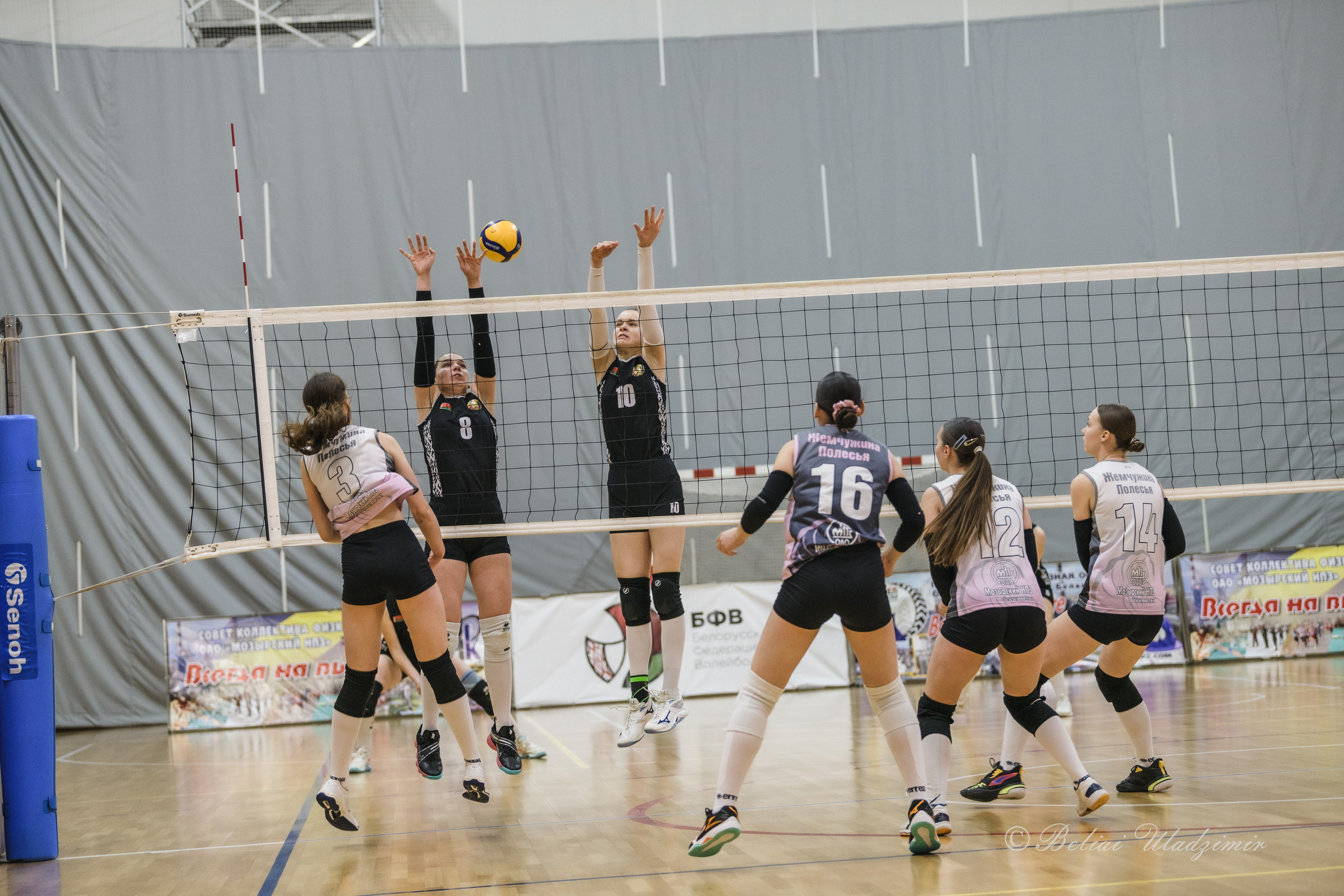 Первенство Республики Беларусь по волейболу среди девушек 2010–2011 гр. Репортажный фотограф Владимир Беляй