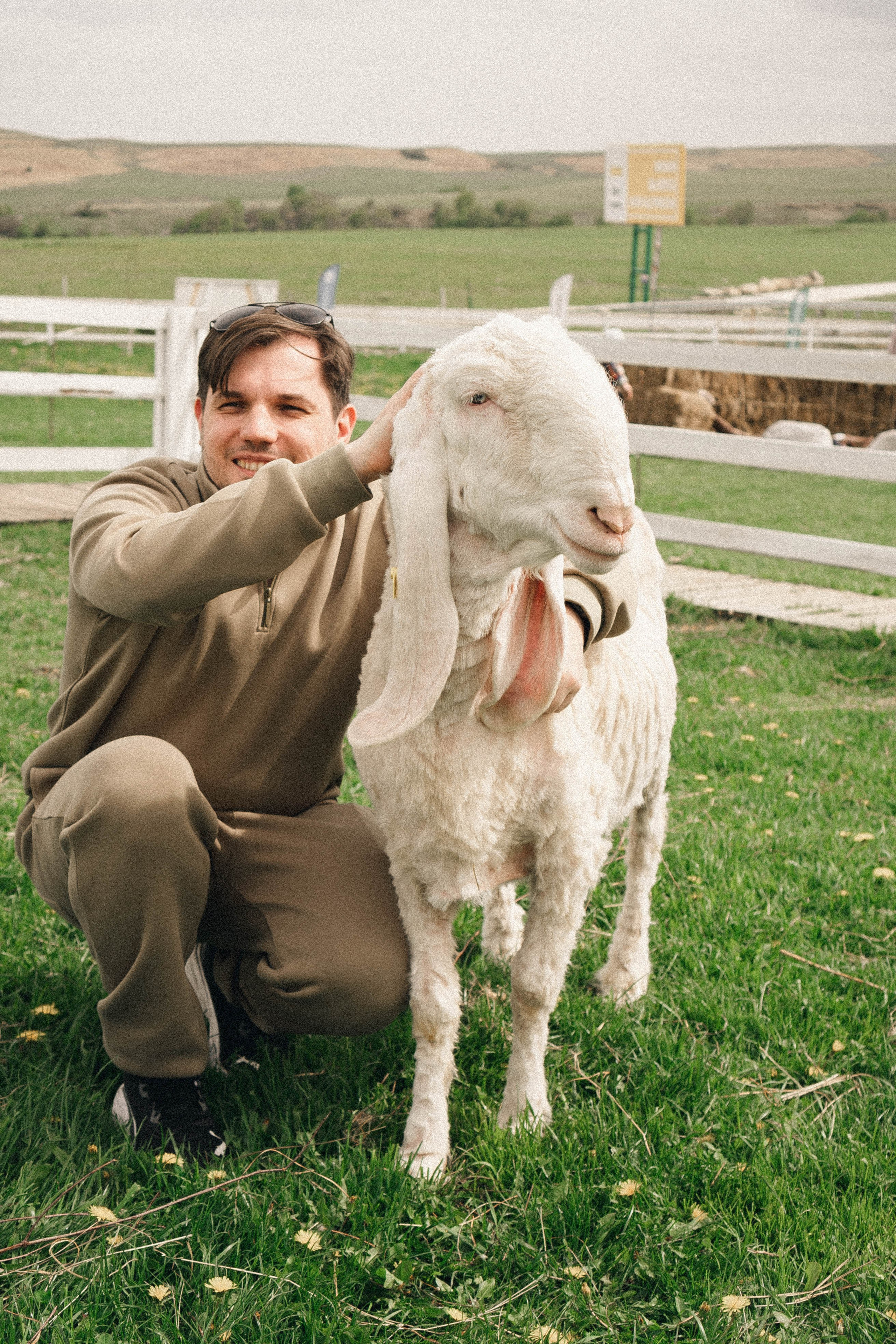 Ферма Альпак. Профессиональный фотограф, Санкт-Петербург — Виктория Богомолова
