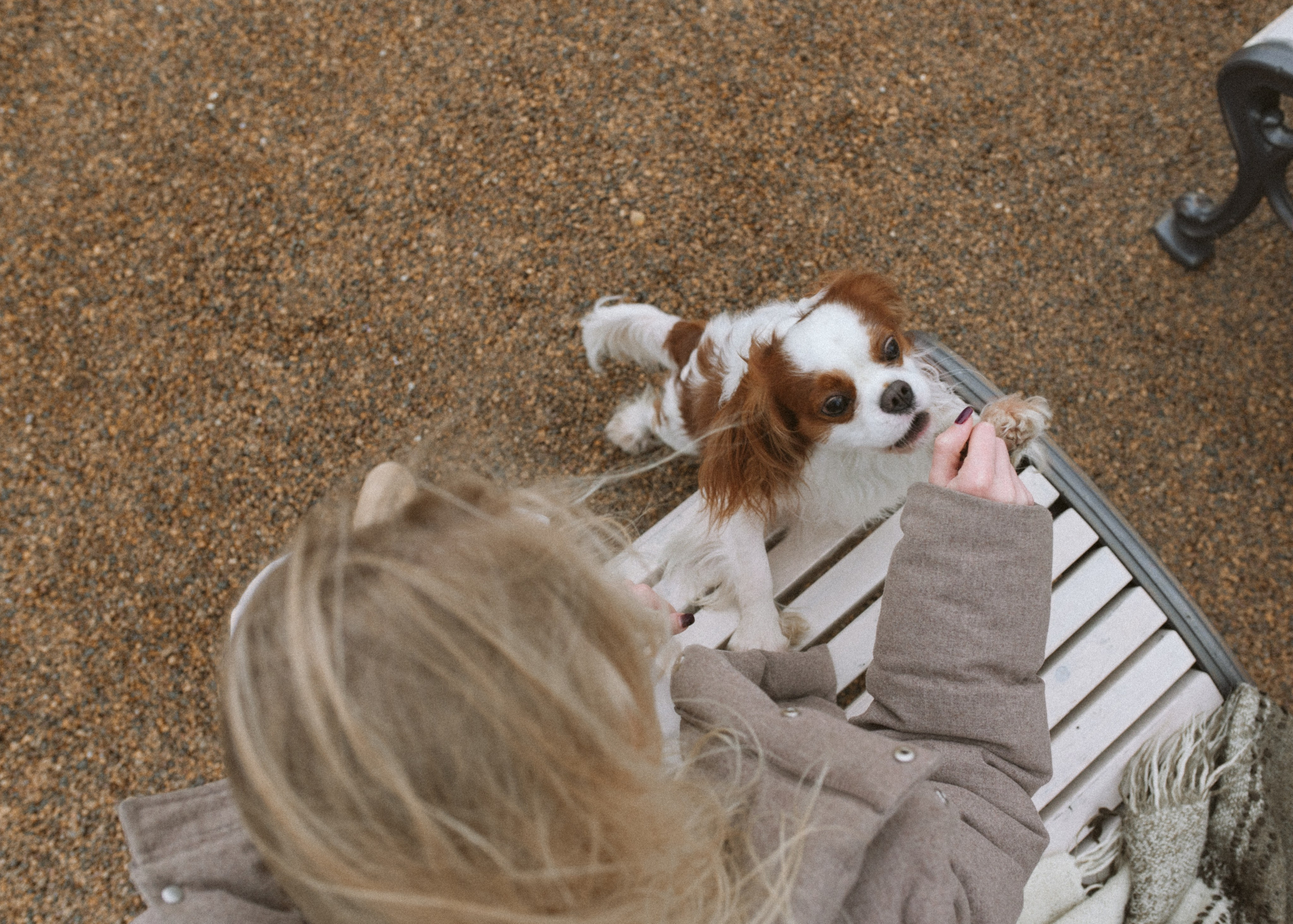 Настя и Тэйлор. Фотограф анималист в Москве Ольга Агушева