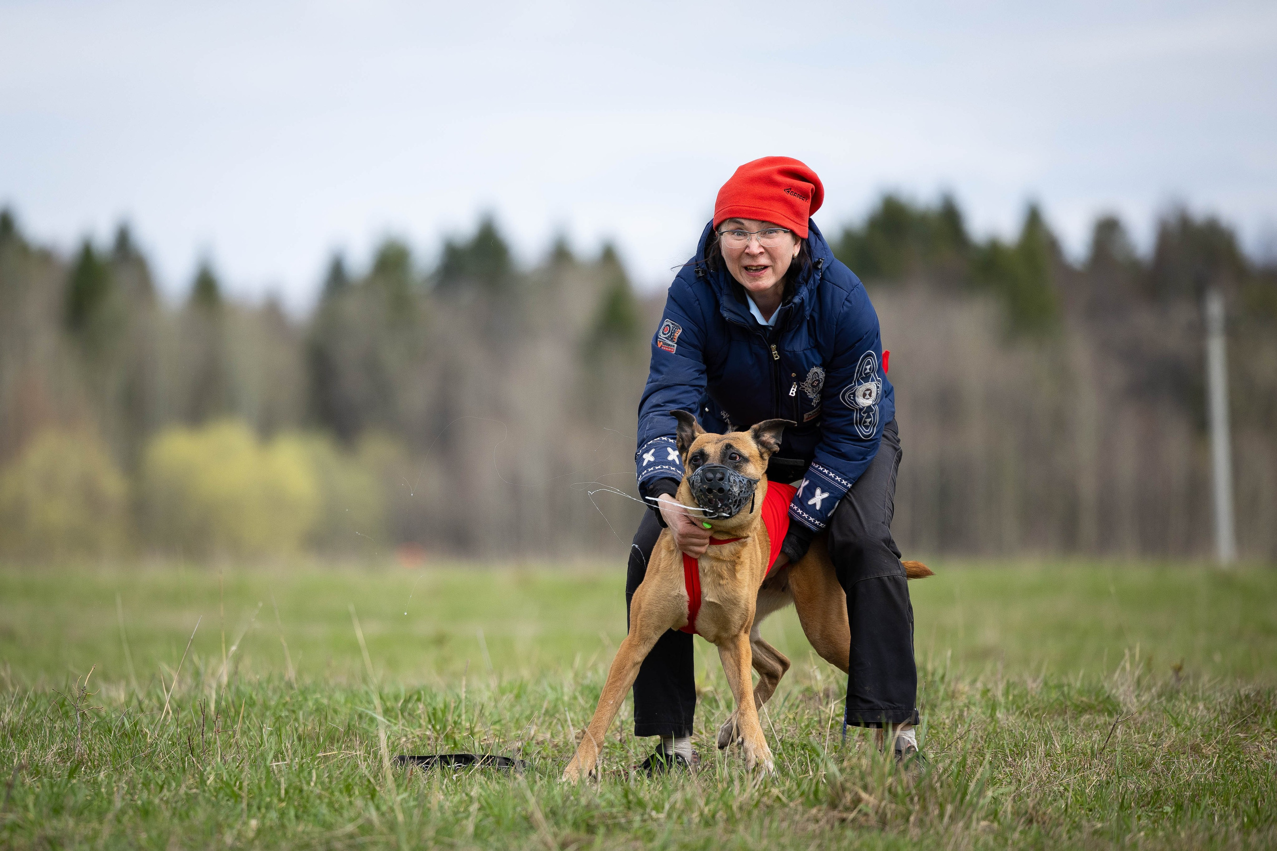 Курсинг. Фотограф Анималист в Перми Анастасия Остерман