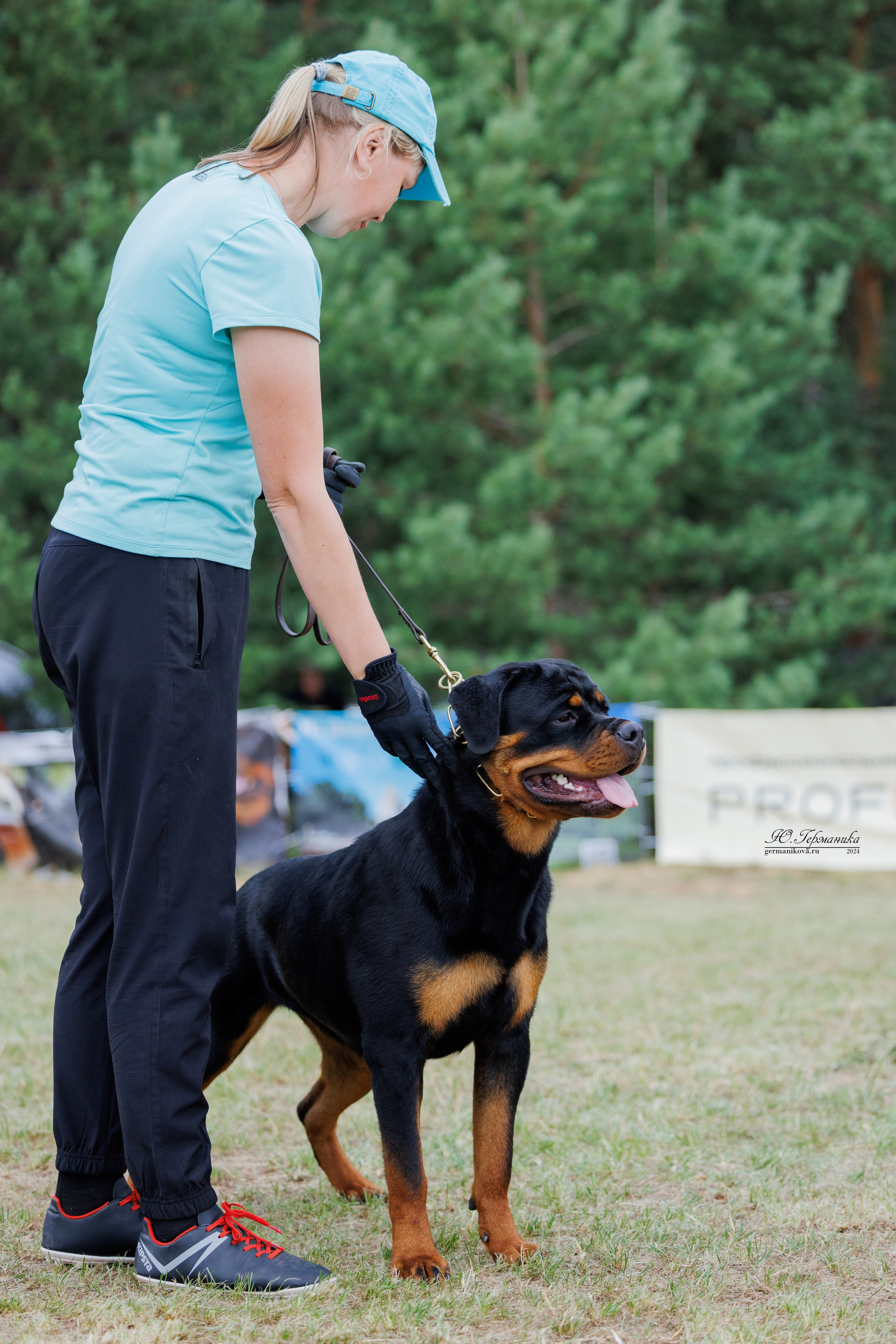 ПК и КЧК ротвейлеры Тверь 6-7.07.2024. Фотограф-анималист Юлия Германика