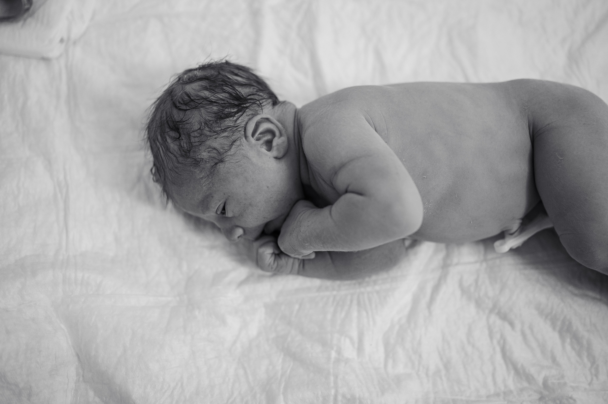 Хонор Хонорович родился в МД Лахта / Лешуков С. В. / Никитина Е. Фотограф на роды СПБ Юлия Герасимова