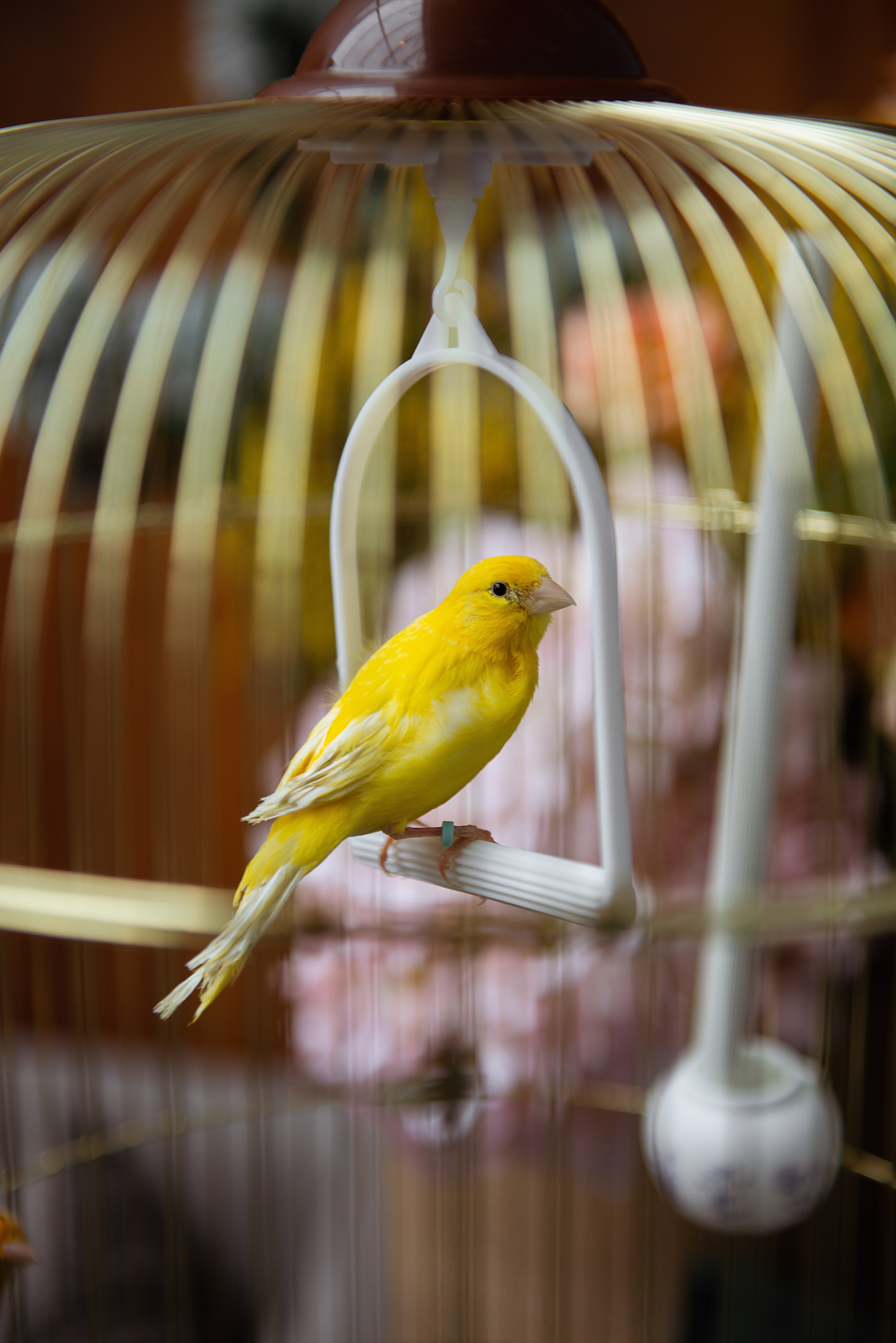 Свадебная фотосессия