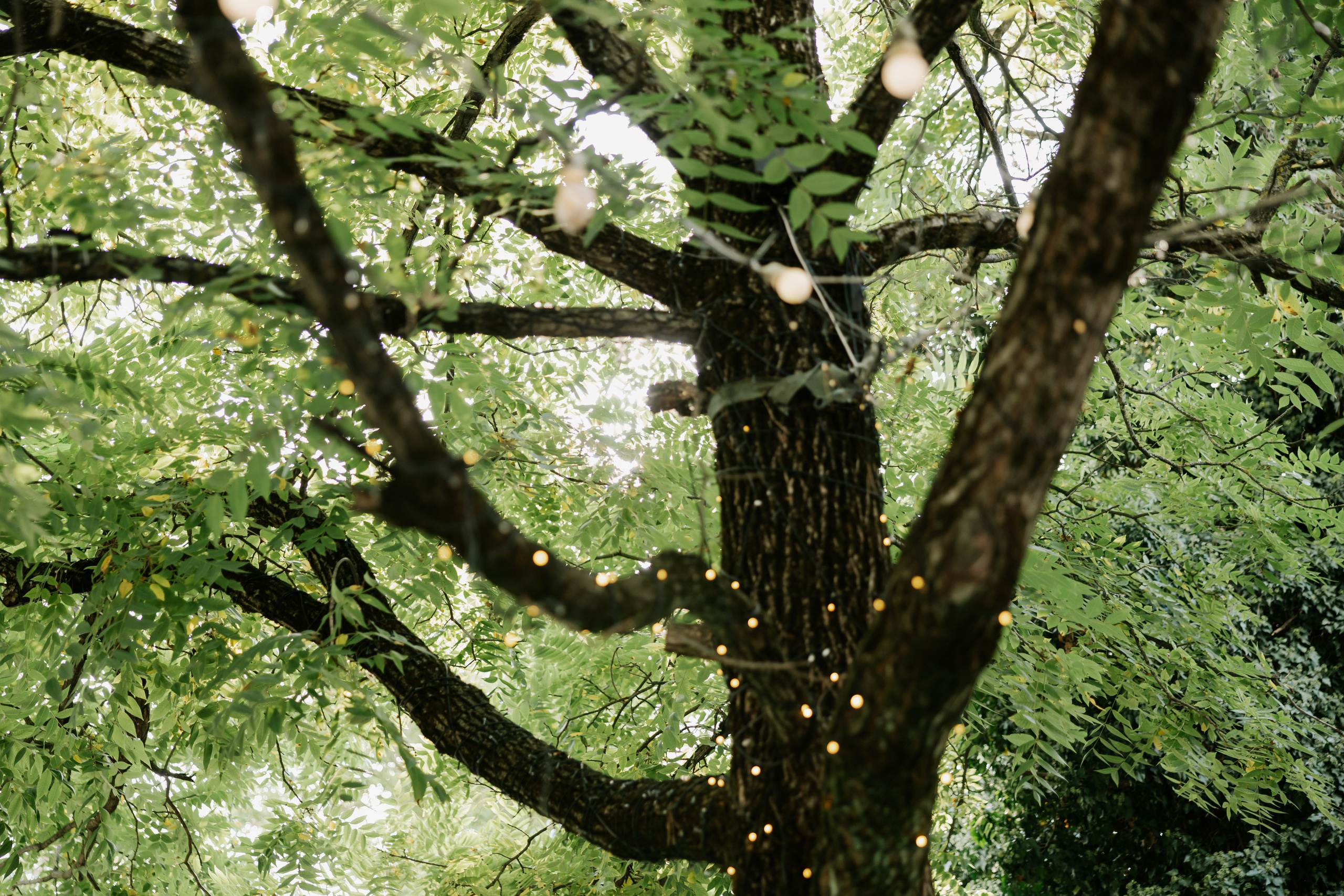 Иван и Лиза. Свадебный фотограф в Краснодаре Татьяна Гура