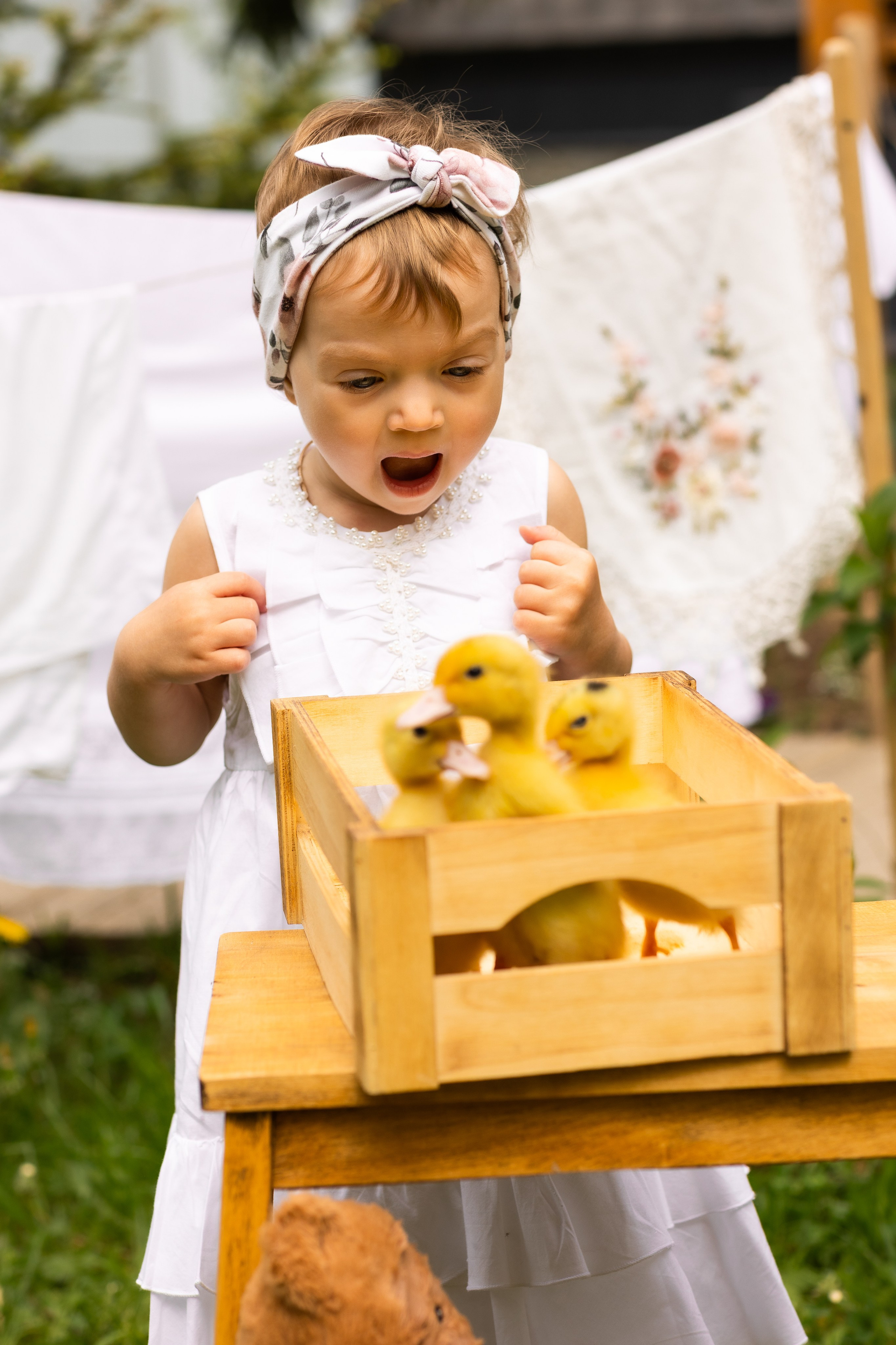 Утята. Профессиональный ретушер Москва и весь мир — Елена Тимченко