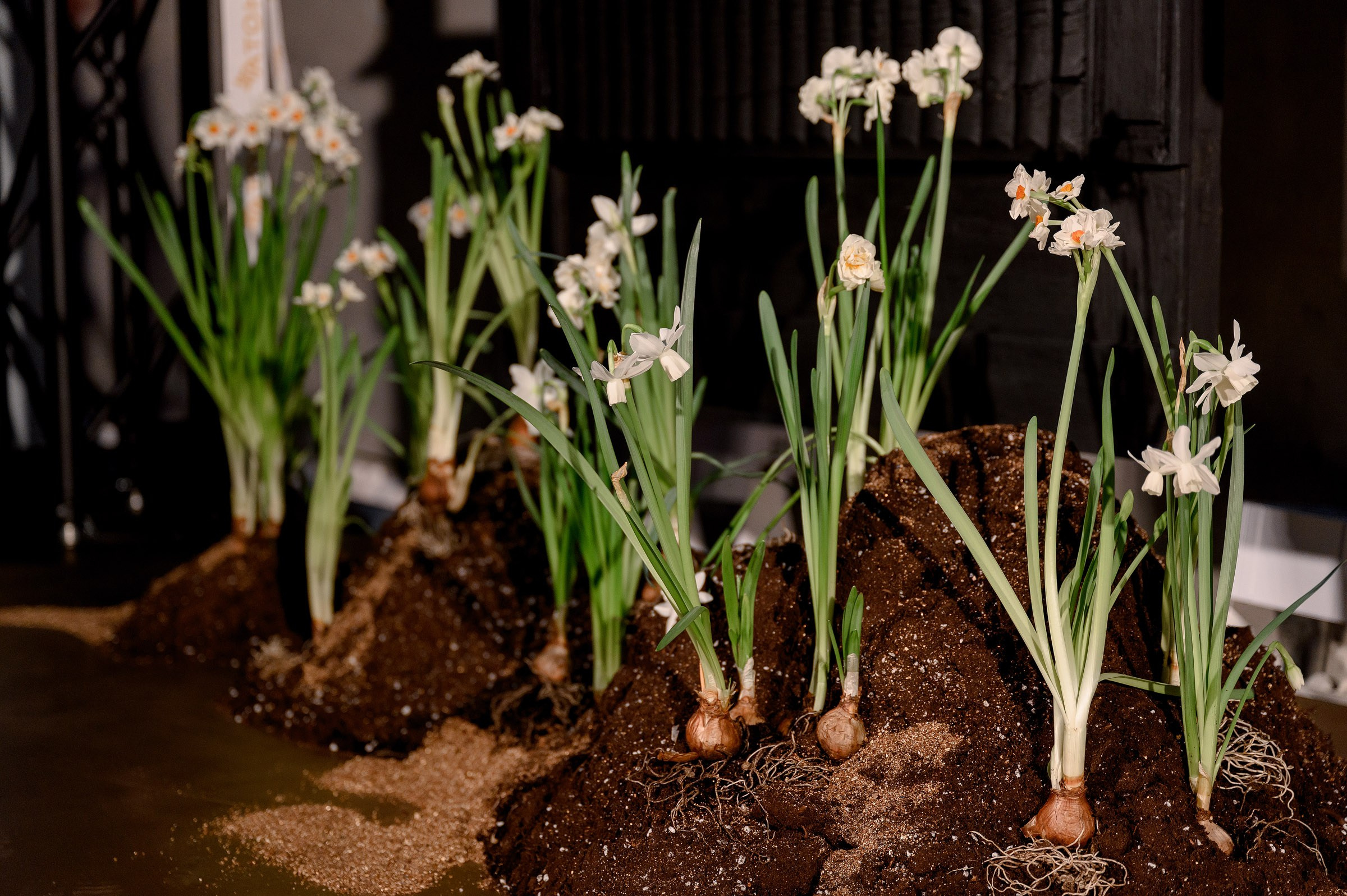 Открытие «ATON». Фотограф Павел Петров г. Тюмень