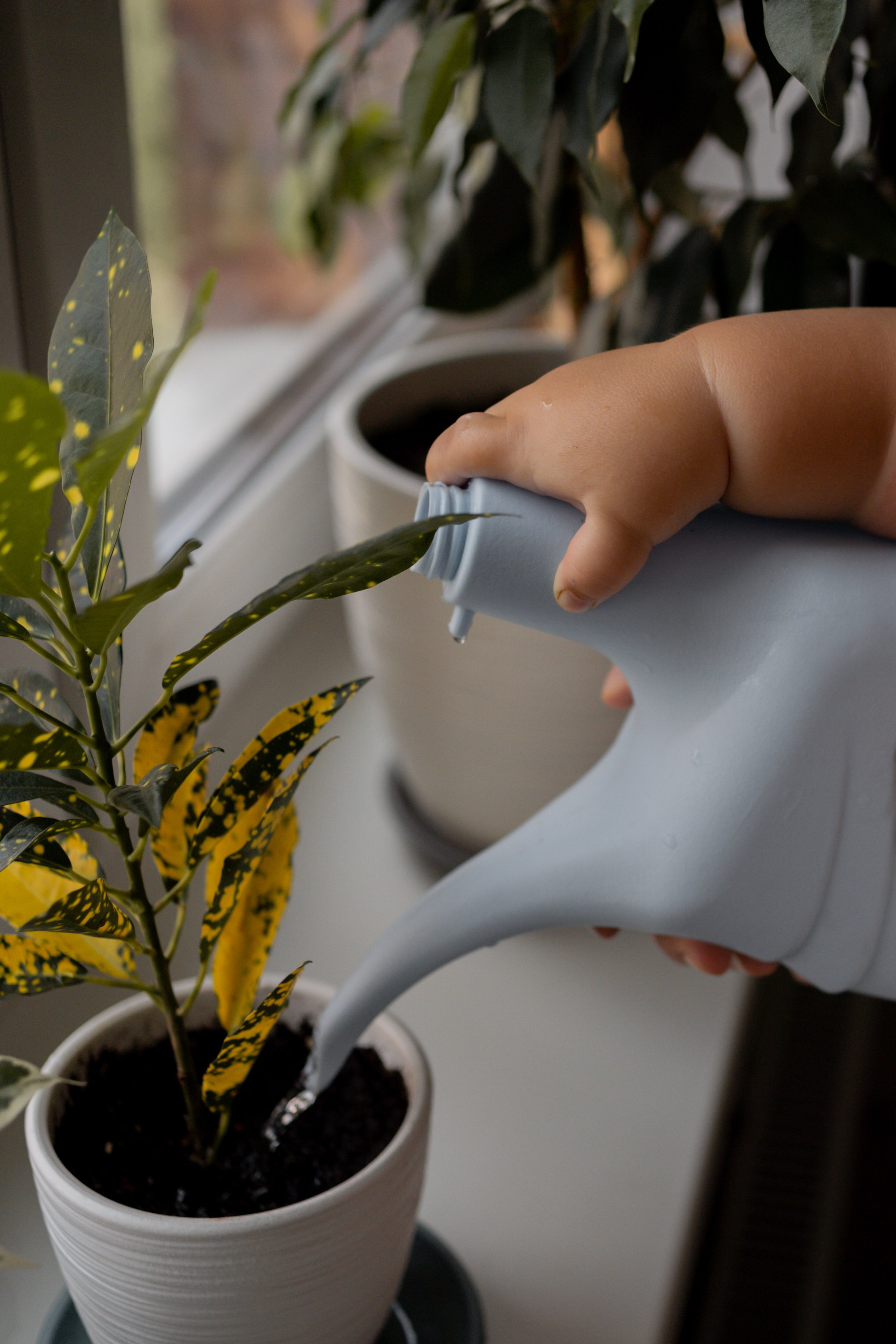 Алина и Дима. Фотограф грудного вскармливания в Москве Екатерина