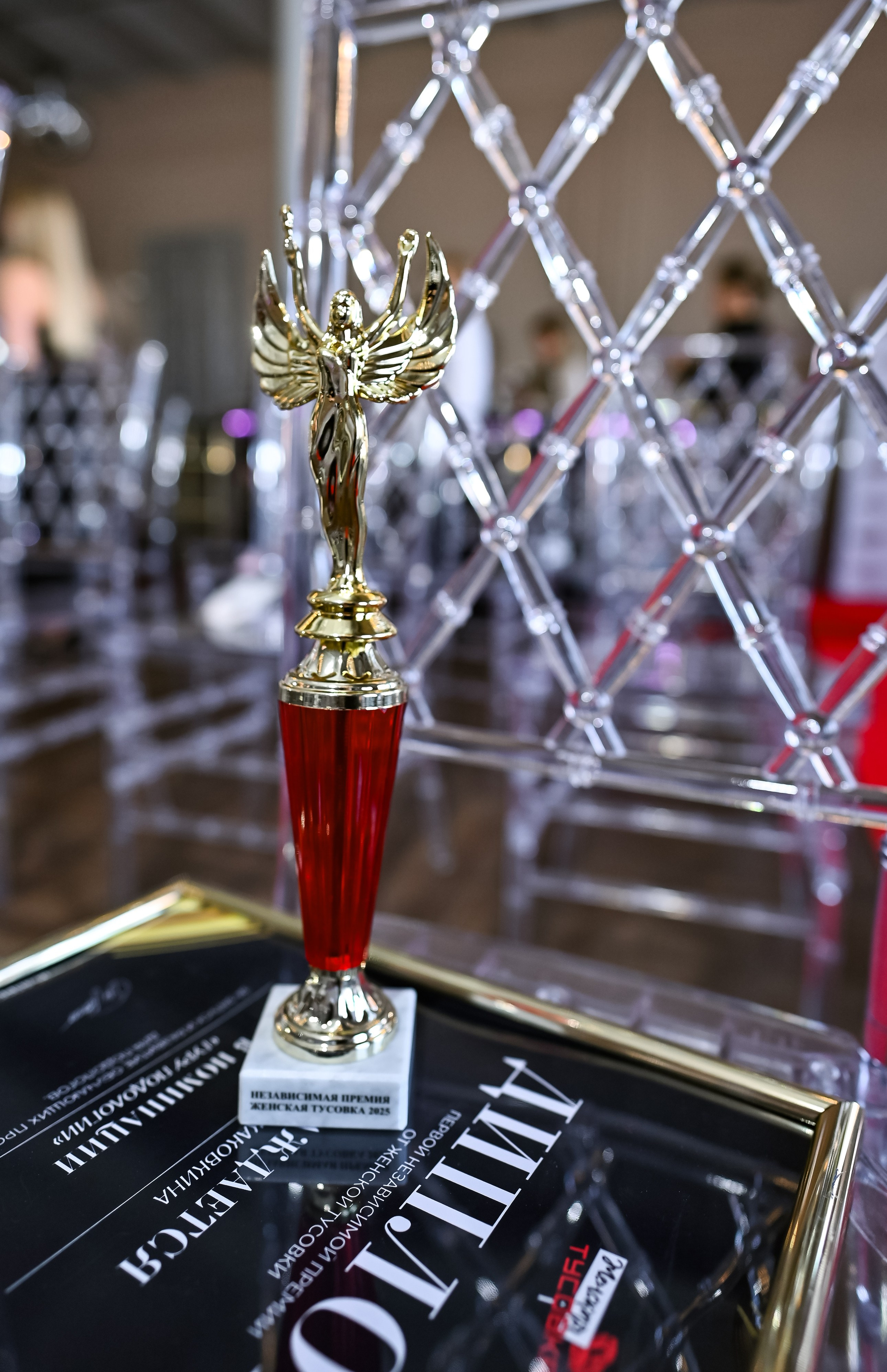 Премия ЖТ Питер. ZDARONOKIA Репортажный фотограф